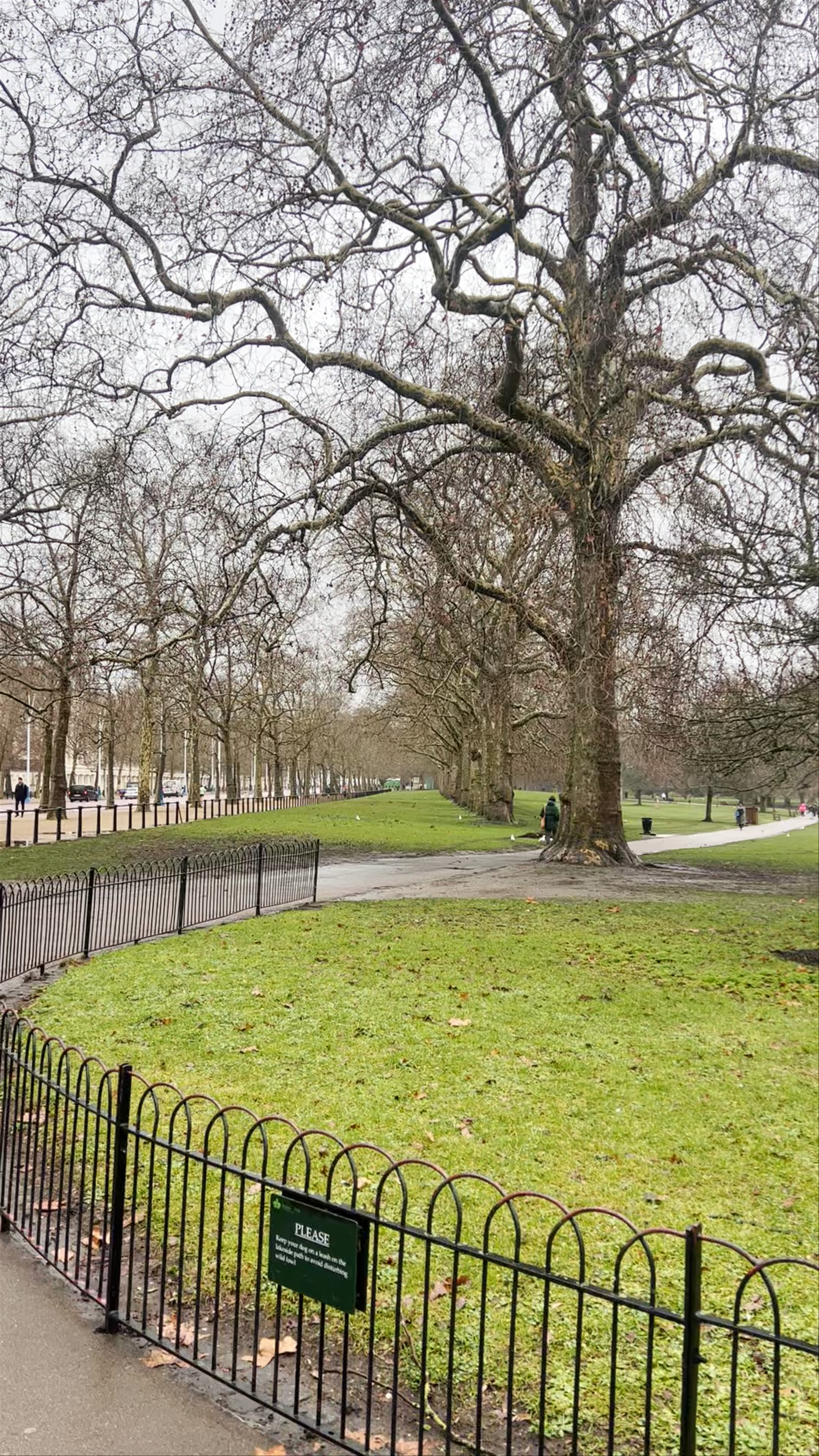 Green Park