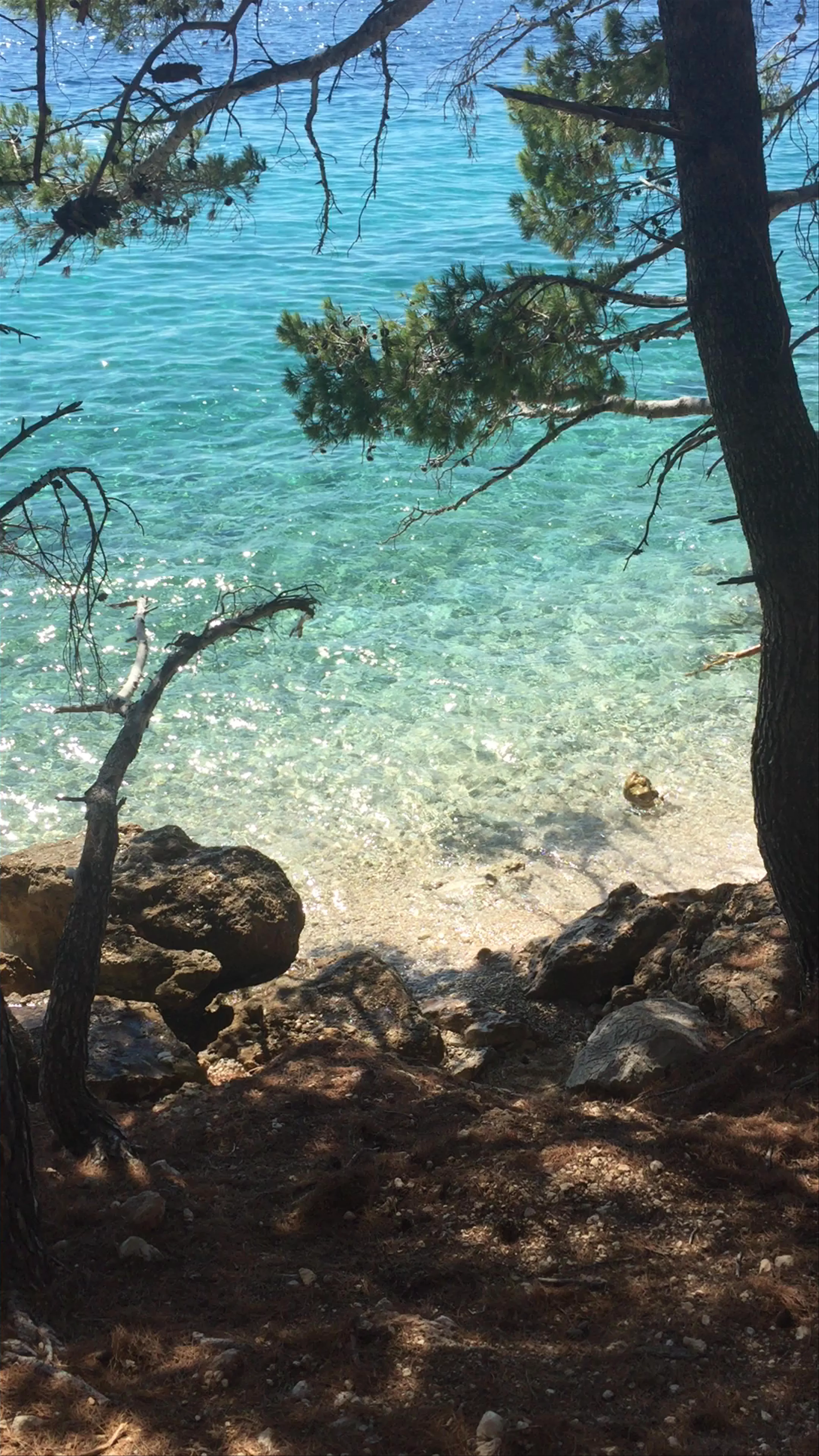 Makarska Coastline