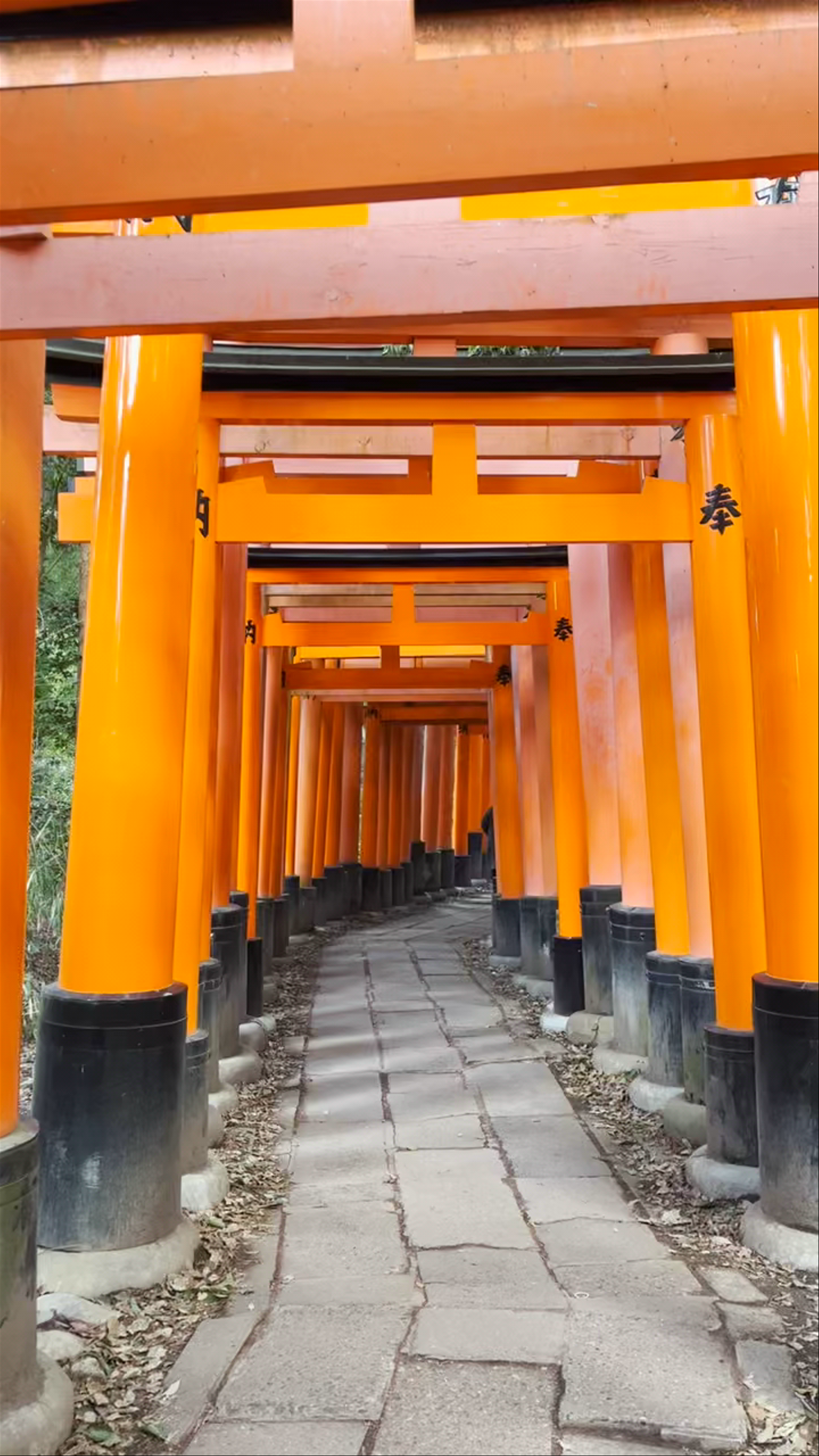 Fushimi Inari Taisha