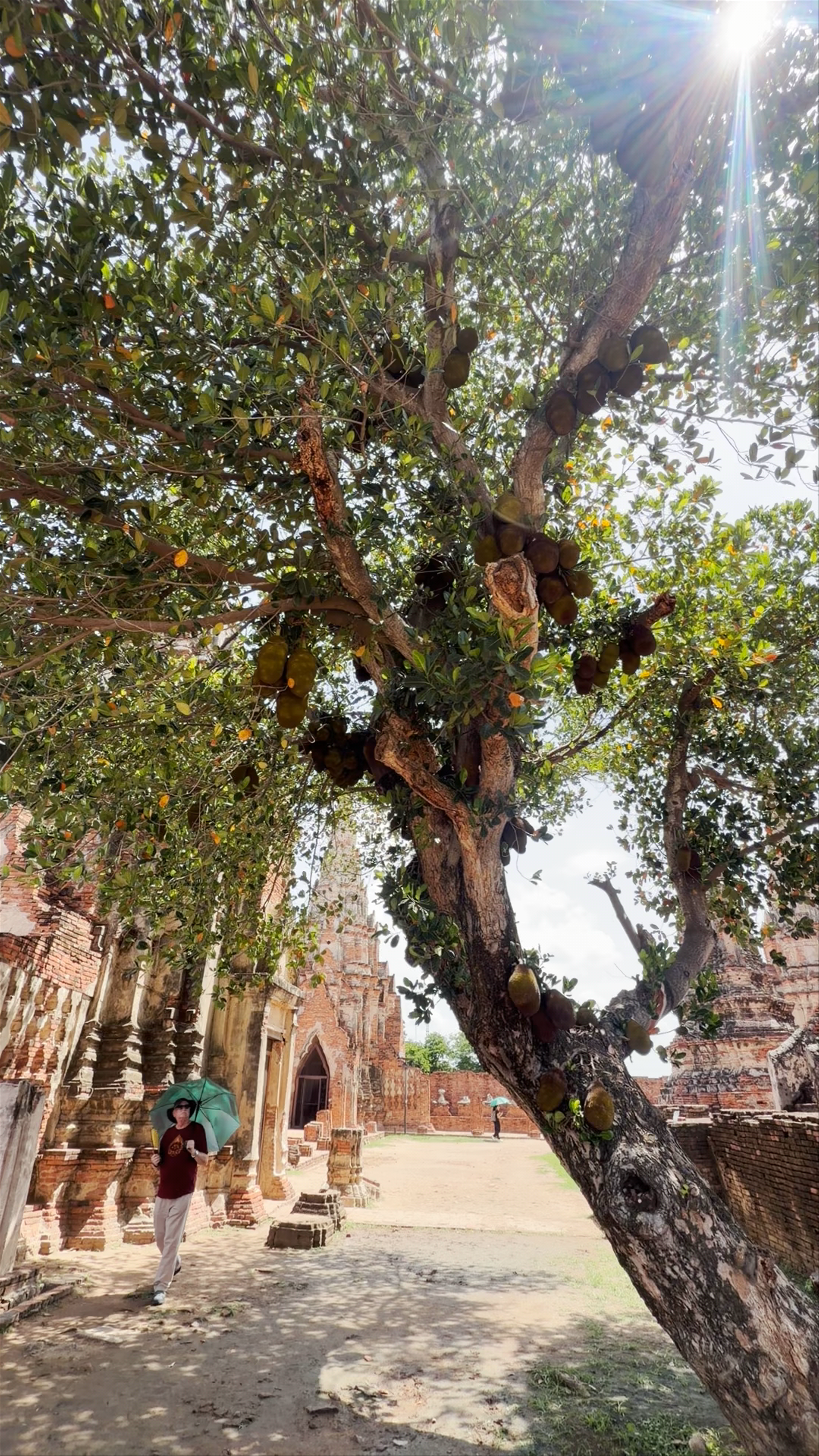 Wat Chaiwatthanaram