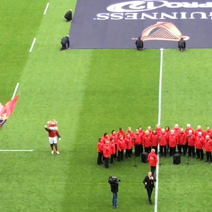 Thomond Park Stadium - Anthem - Stadiums & Arenas Near Me - Limerick, LK