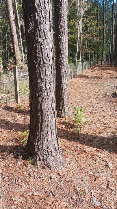 Bryan County Bark Park - Dog Parks Near Me