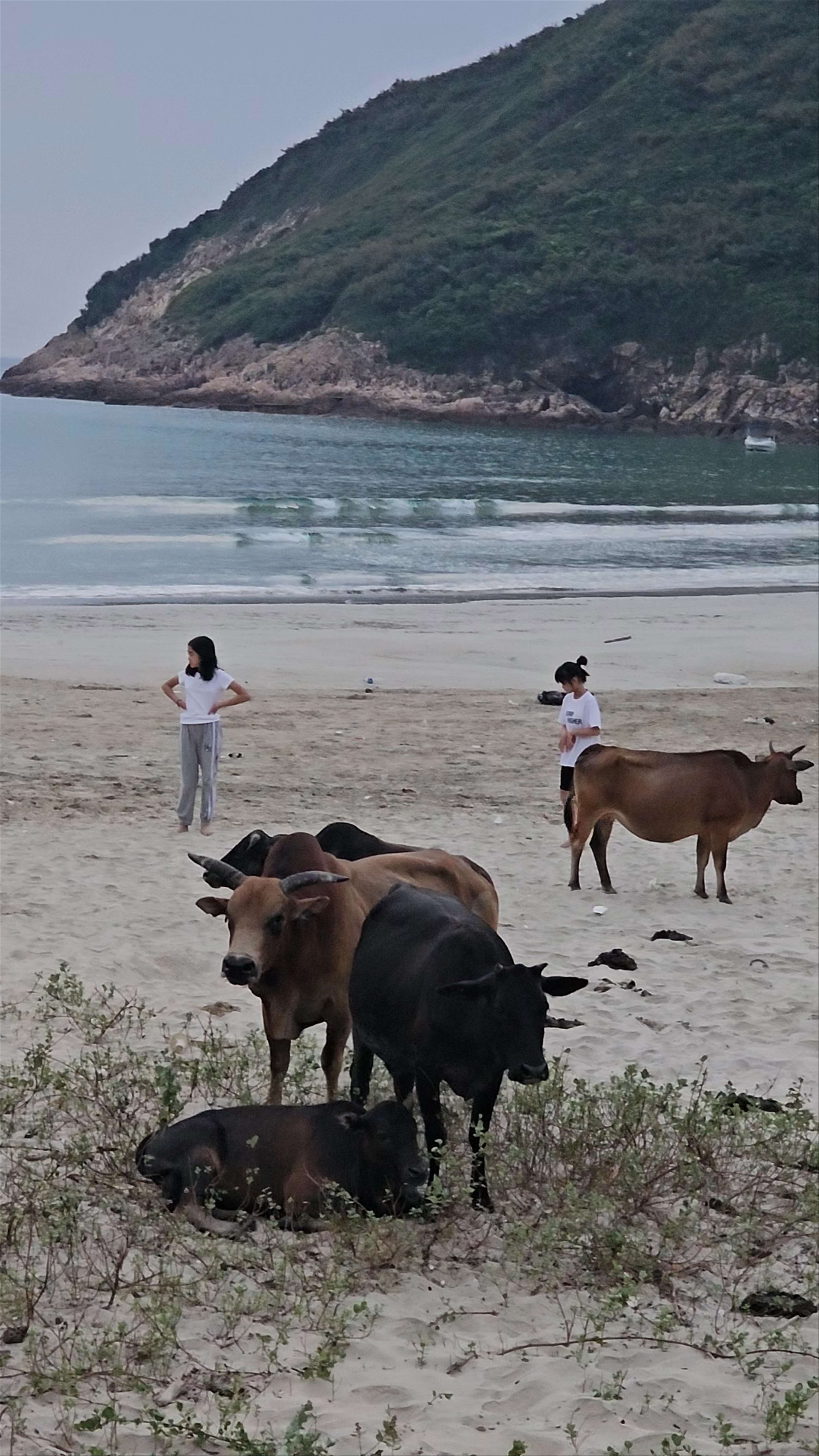 Sai Wan Beach
