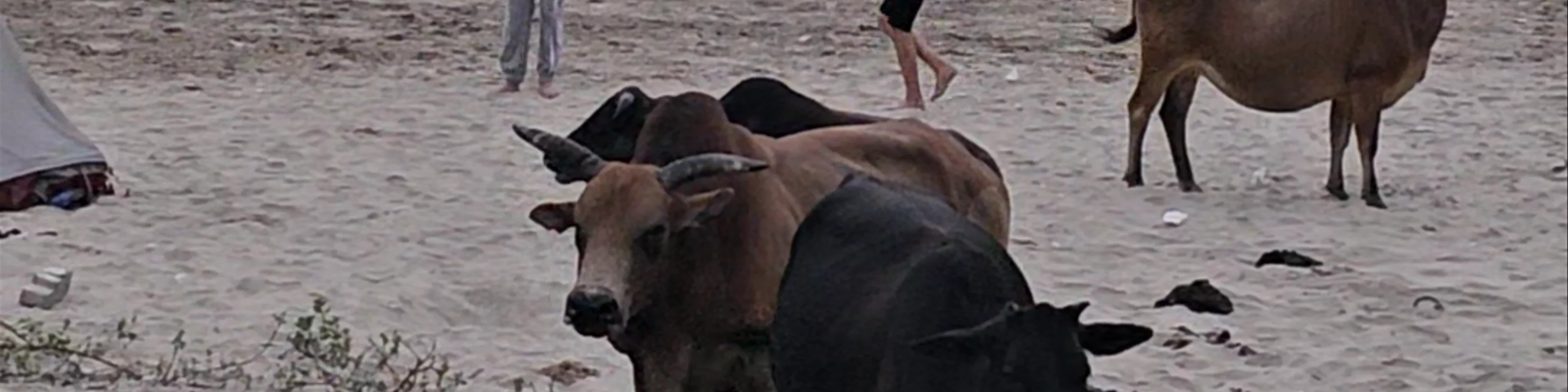 Sai Wan Beach
