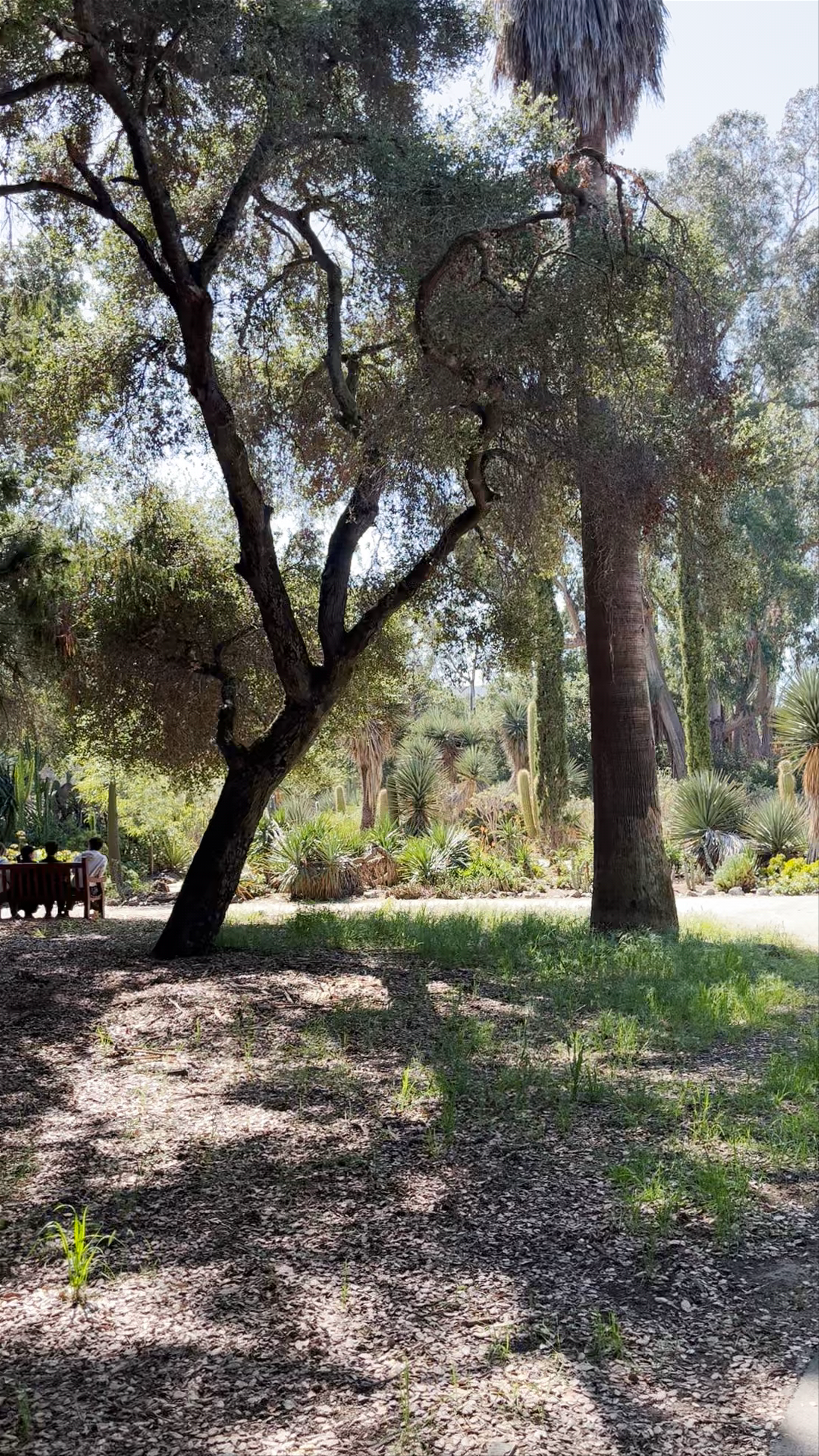 Arizona Garden