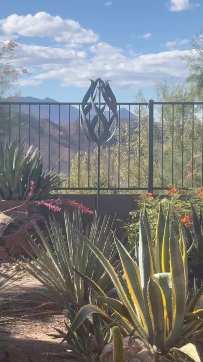 Vue Gallery - The desert flame - Art Galleries Near Me - Sedona, Arizona