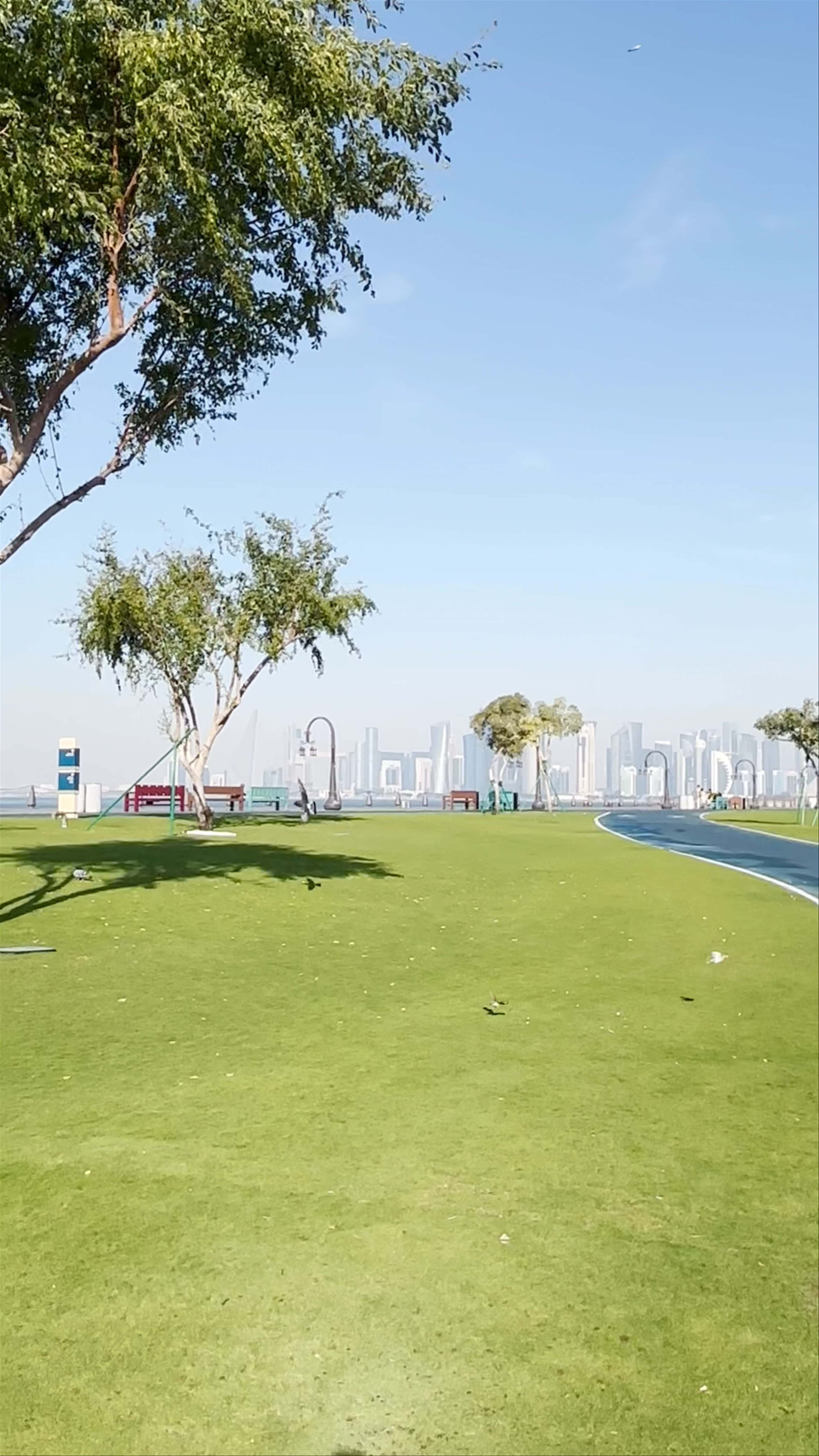 Old Harbour, Doha