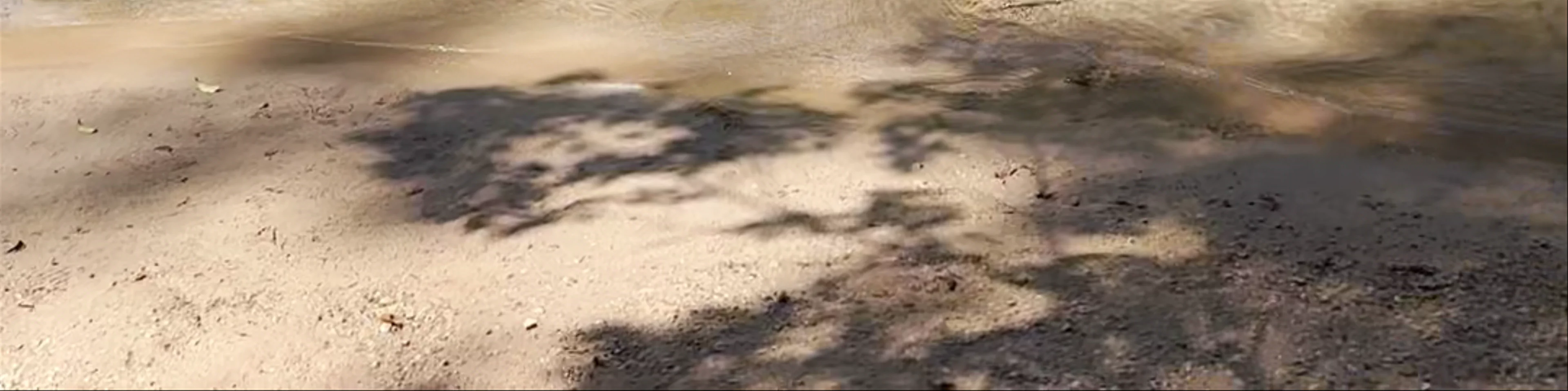 Cascada de Agua Azul