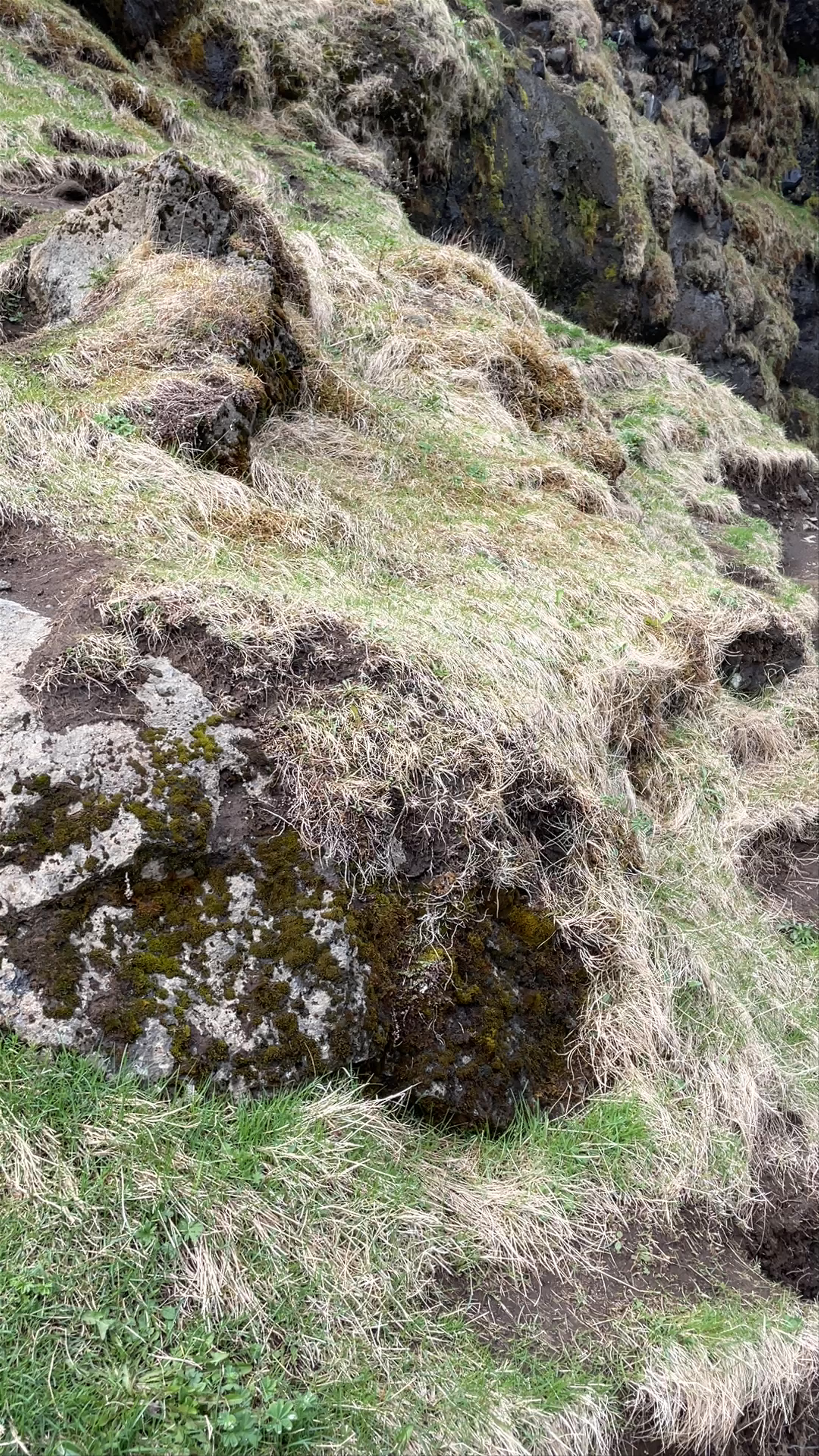 Gluggafoss (Merkjárfoss)