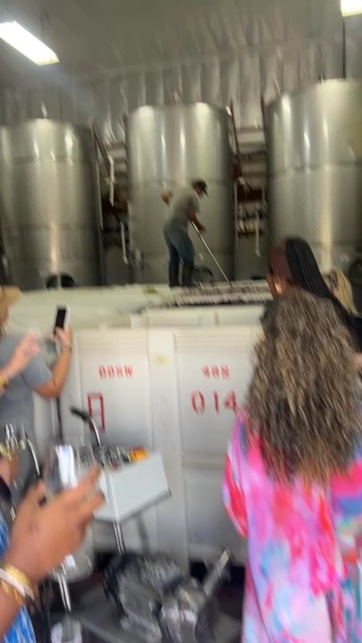Uncorked & Toasted - Wine Tours Near Me - Lake Elsinore, California