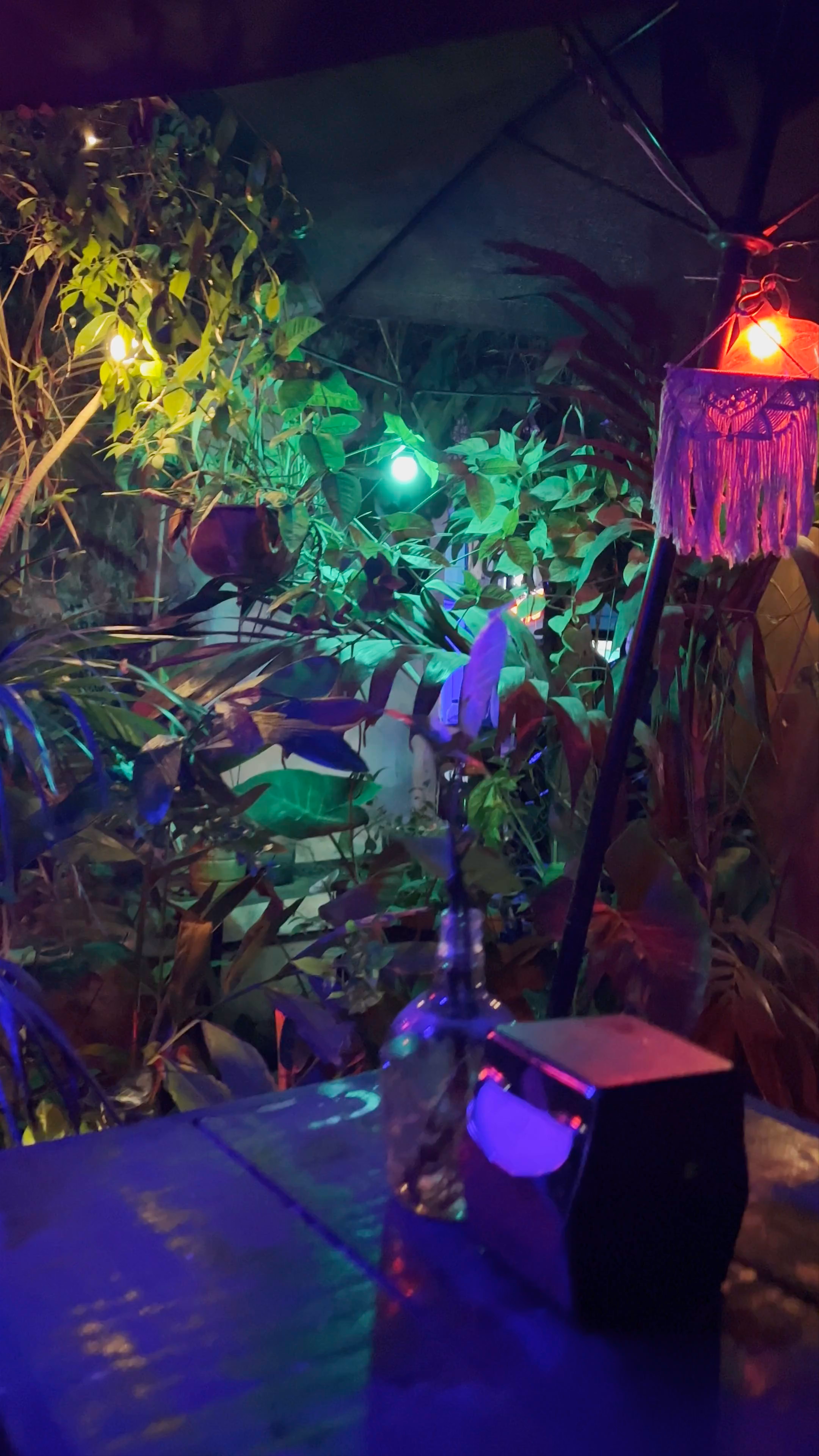 Cozy Night Vibes at Mezcaleria Don Trejo in Sisal, Valladolid