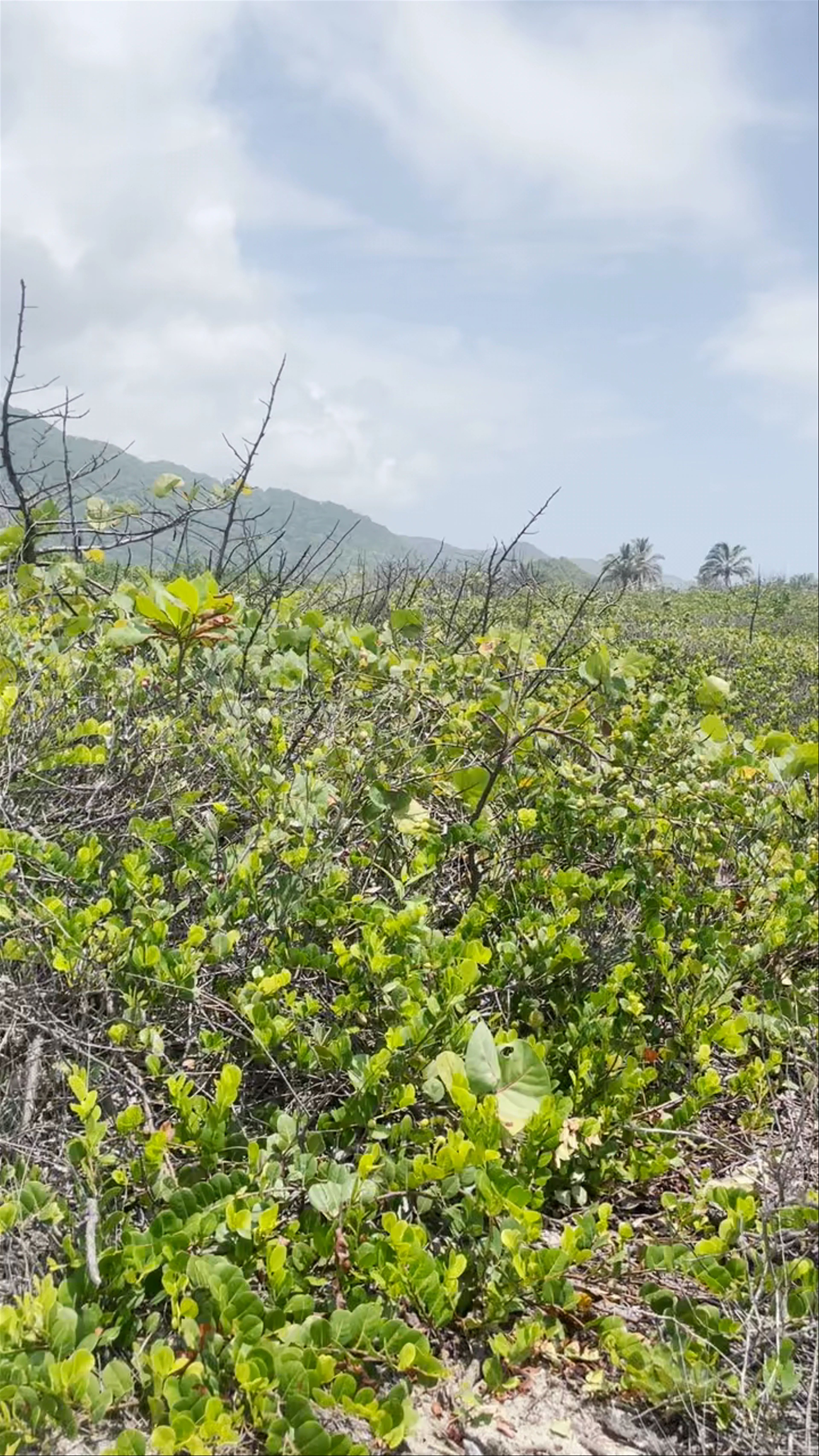 Tayrona National Park