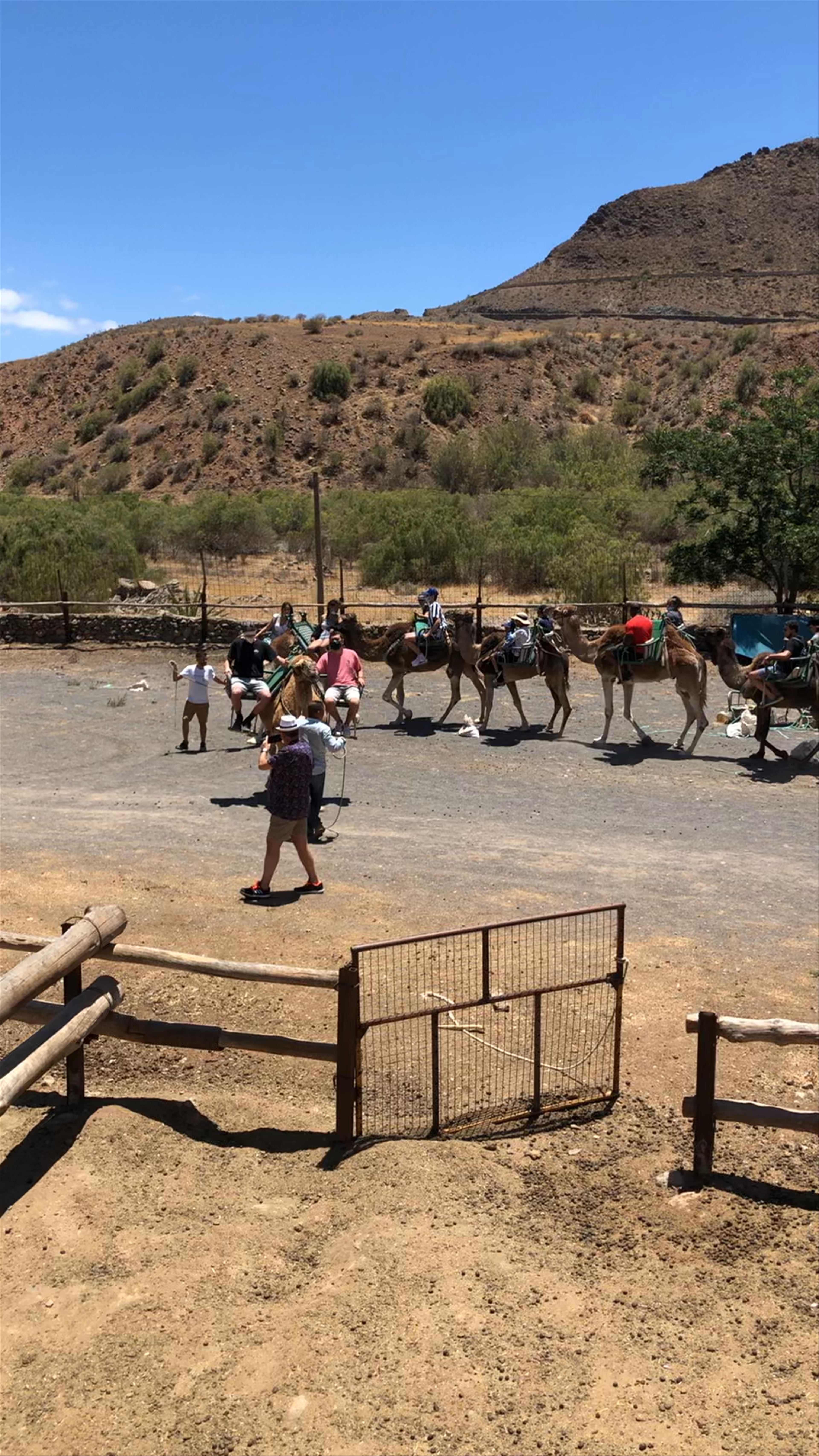 Camel Safari Adventure at Camel Safari Park, Fataga, Spain