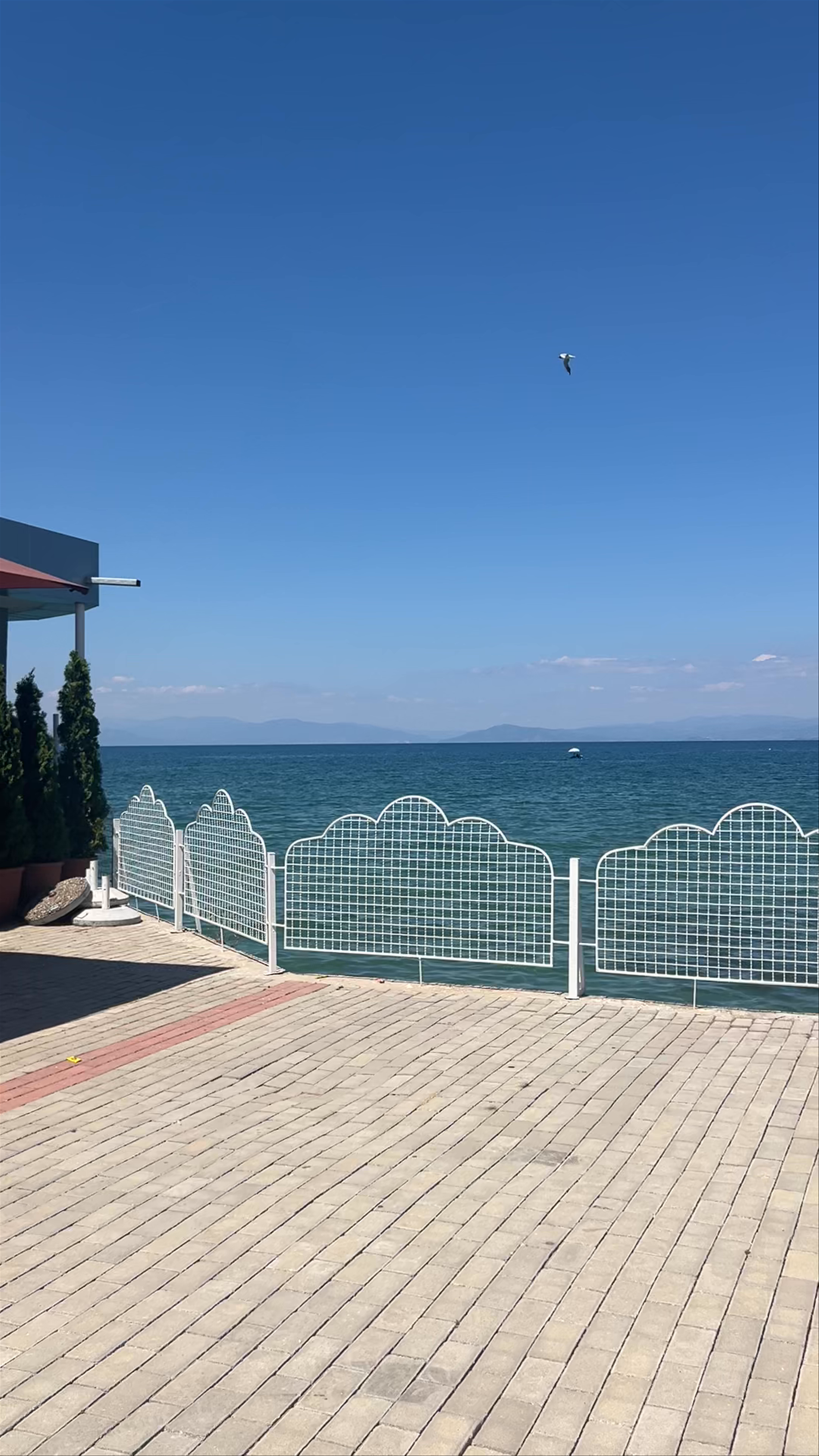 Bar Pelikani: Serene Lakeside Escape in Pogradec, Albania