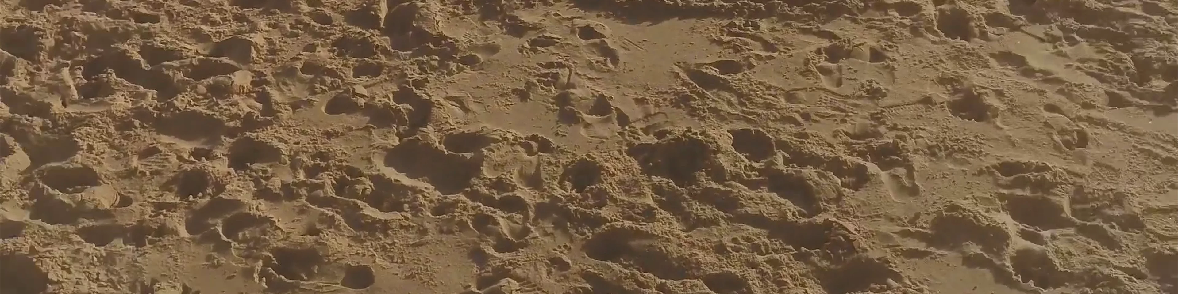 Praia do Tamariz