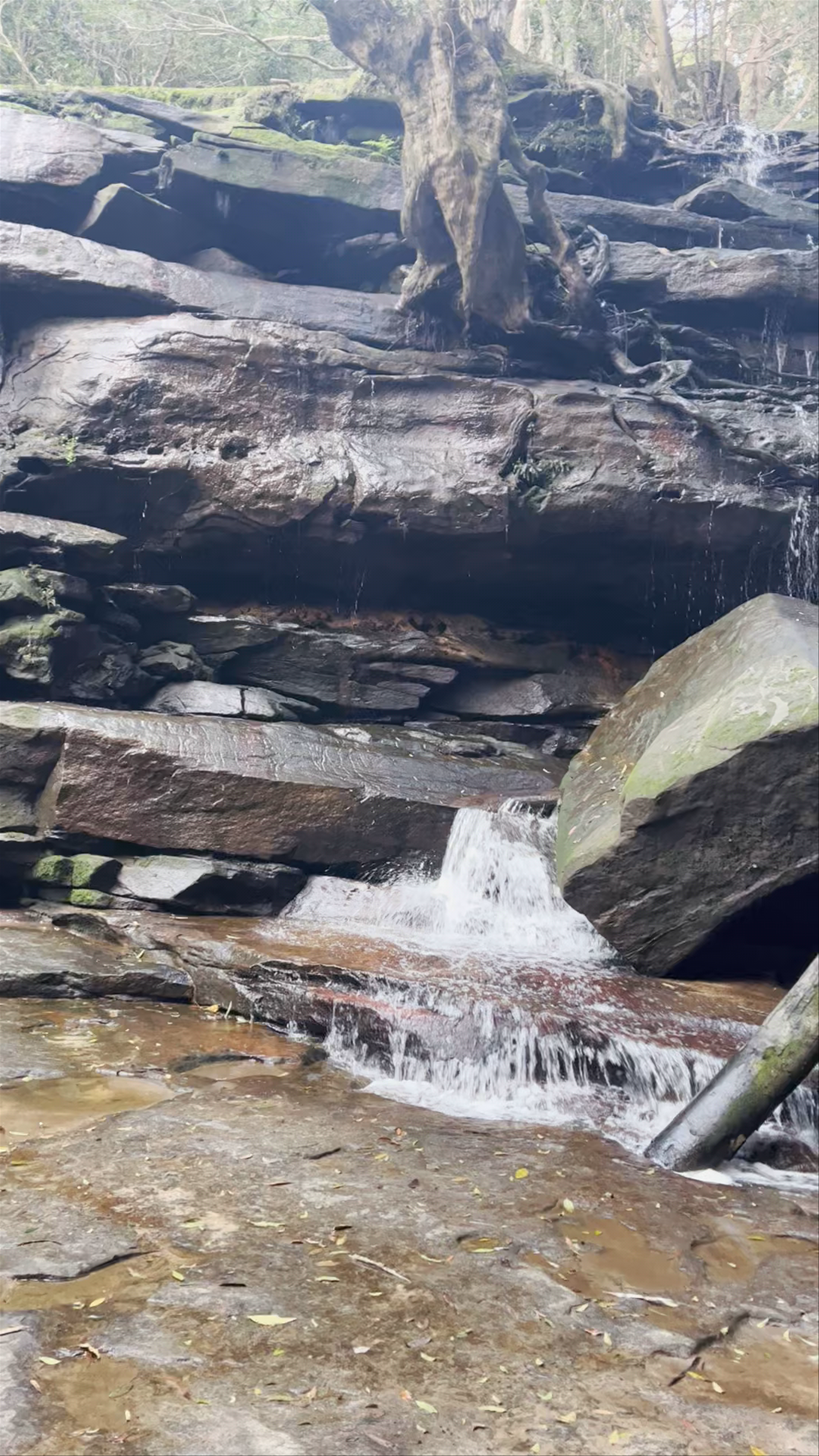 Somersby Falls: Tranquil Nature Escape in New South Wales