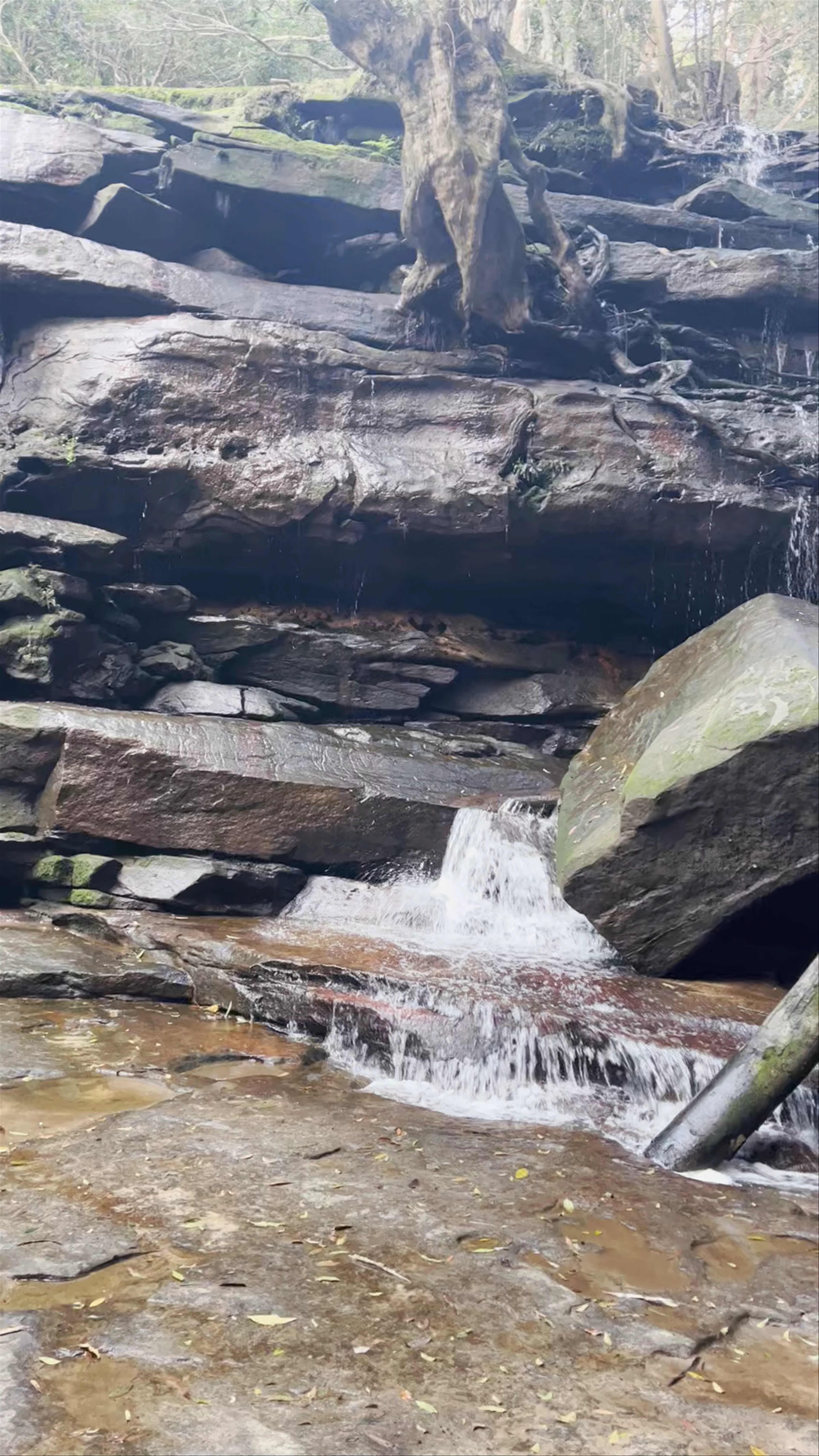 Somersby Falls