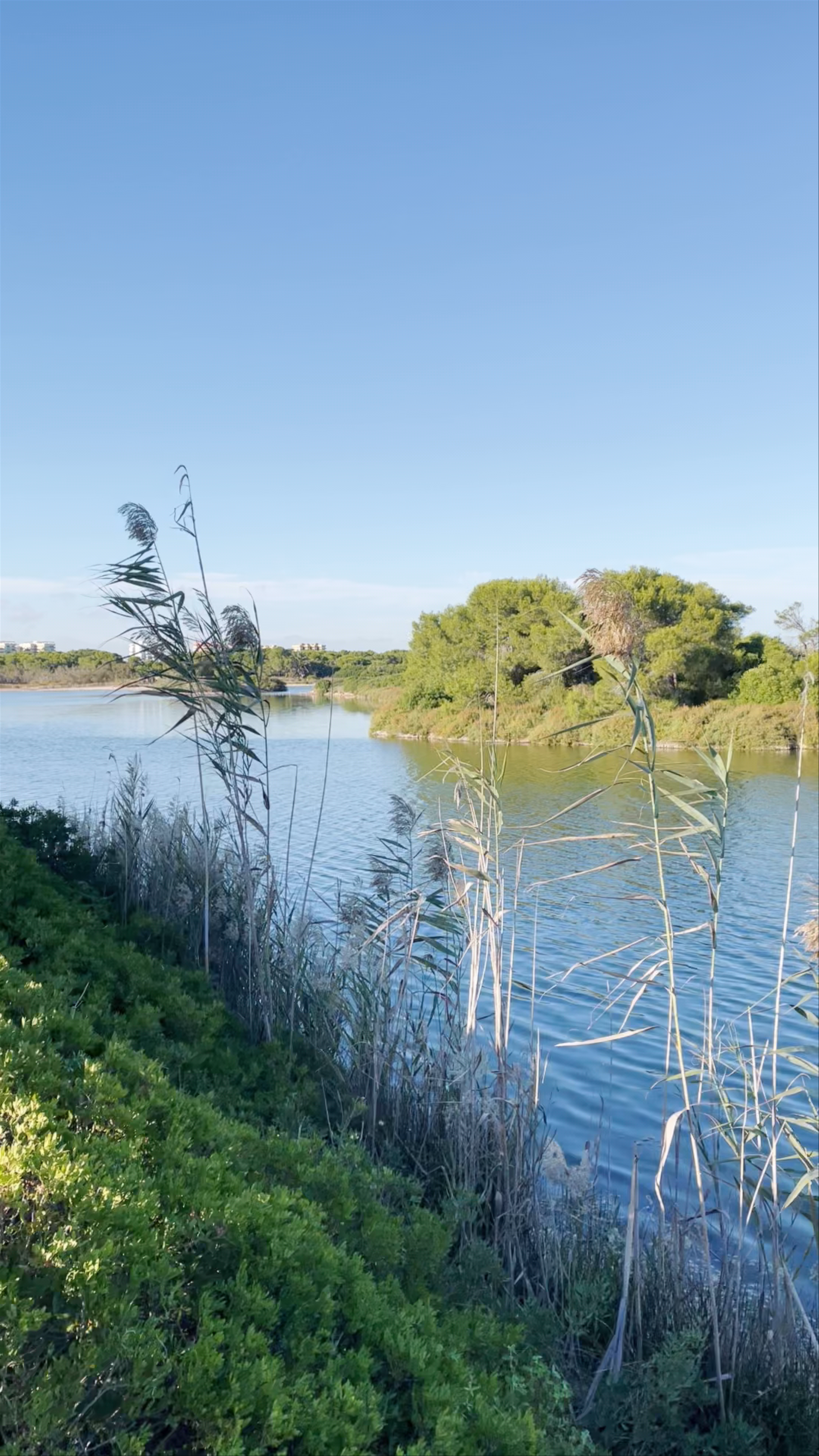 Albufera de Valencia