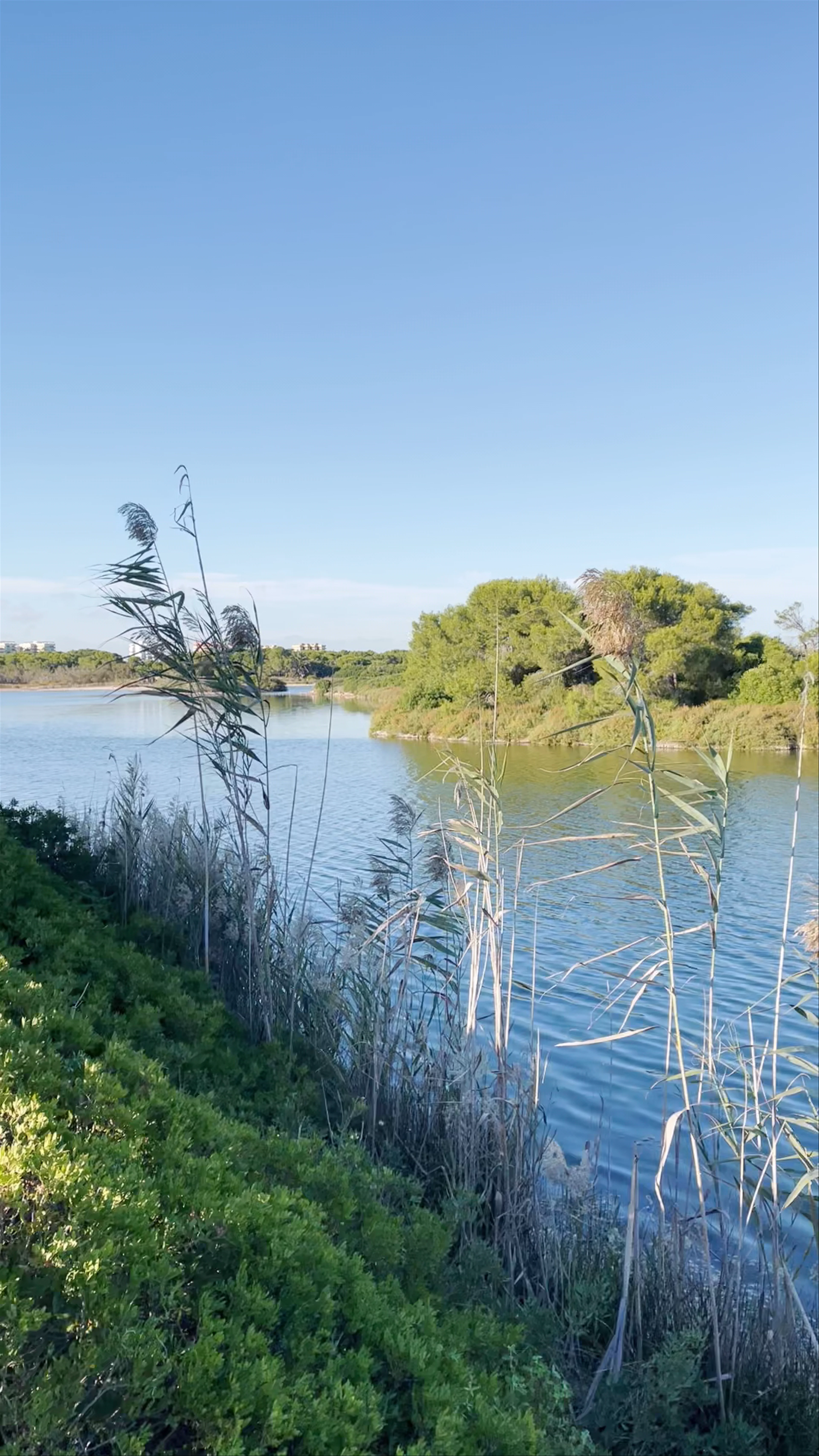 Albufera de Valencia