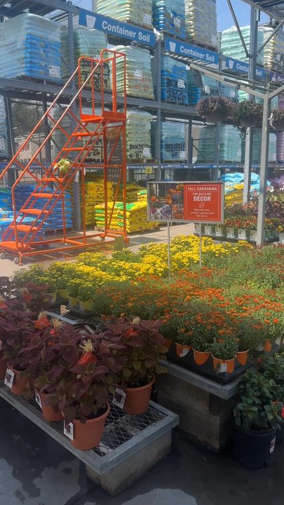 The Home Depot - Nurseries & Gardening Near Me - Cypress, Texas