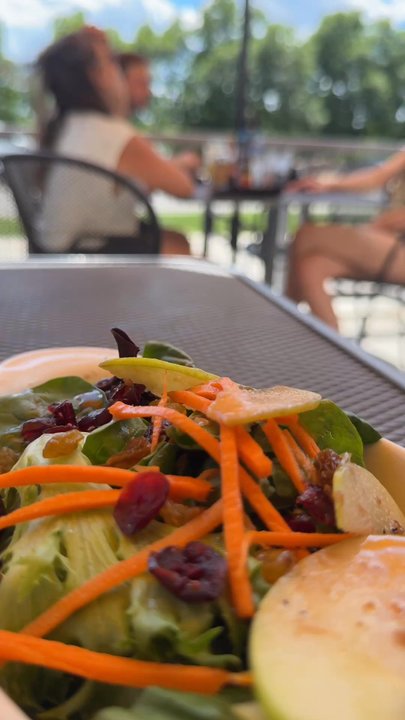 Urban Egg - Belleview - Side salad was a good choice. The cranberries and apple slices gave it a sweet taste that complimented the waffle. - Breakfast & Brunch Near Me - Denver, Colorado