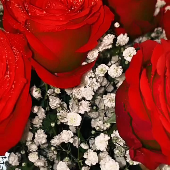 Safeway - love their rose selection here! - Grocery Near Me - Santa Clara, California