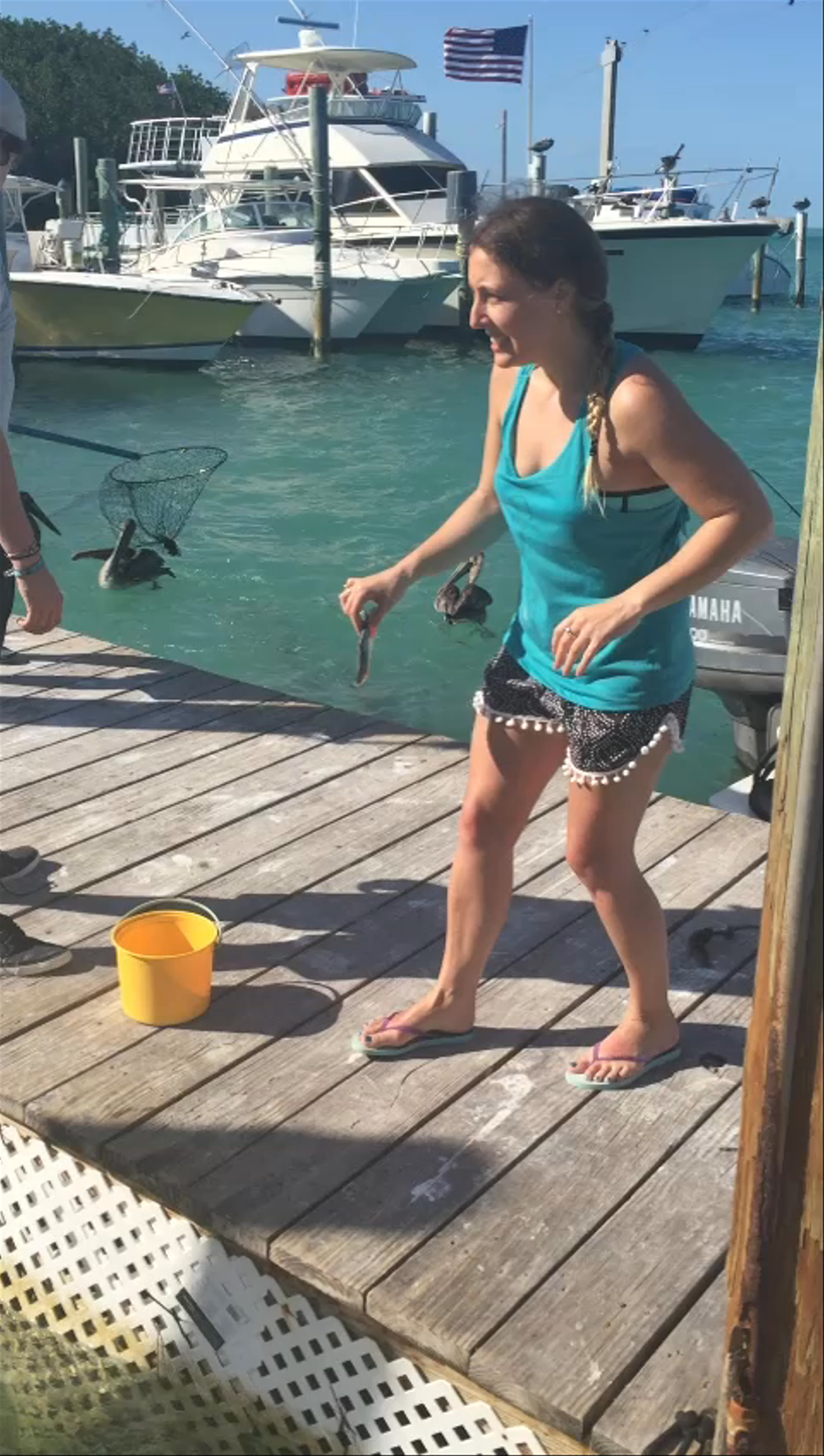 Robbie's Marina - Giant Tarpon 