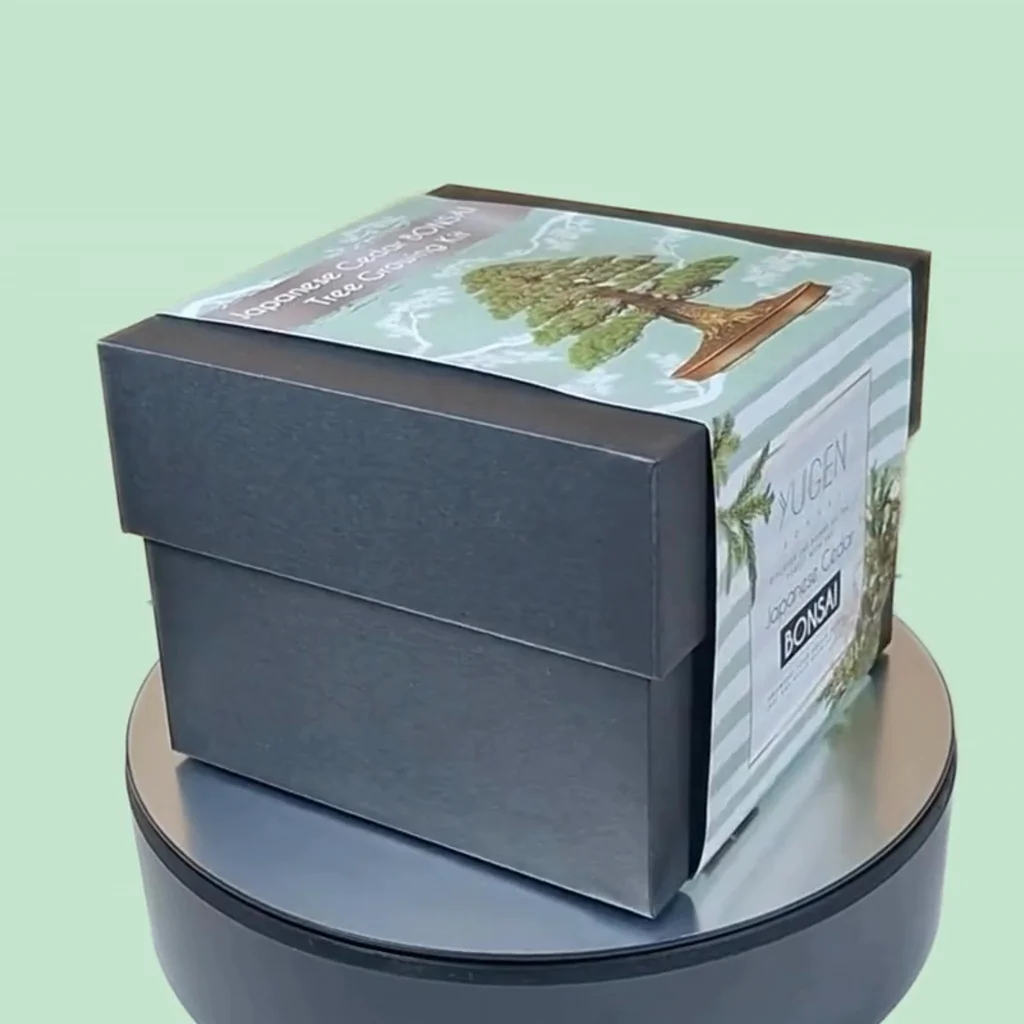 Product video