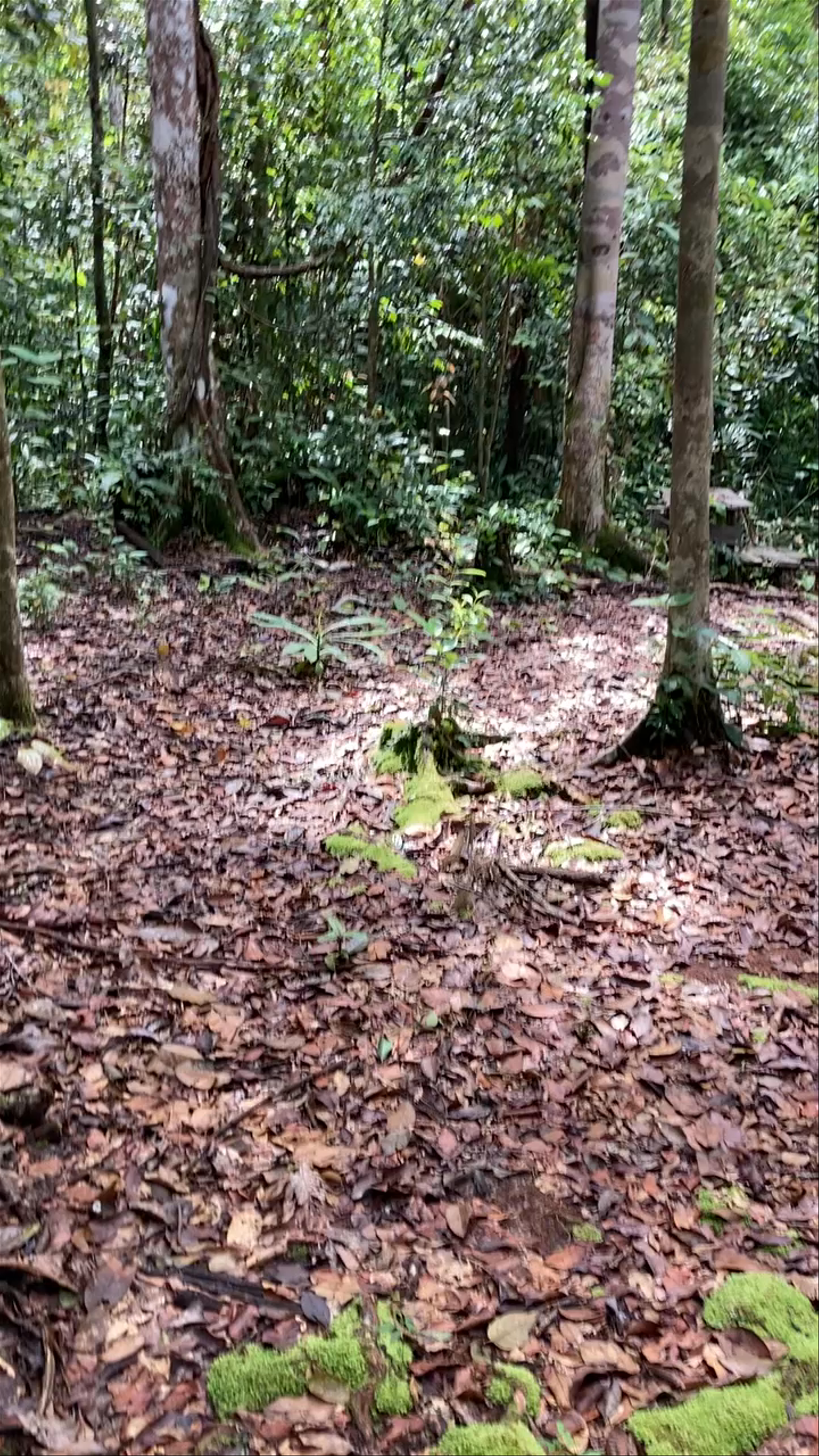 Camp Tanjung Harapan Wharf