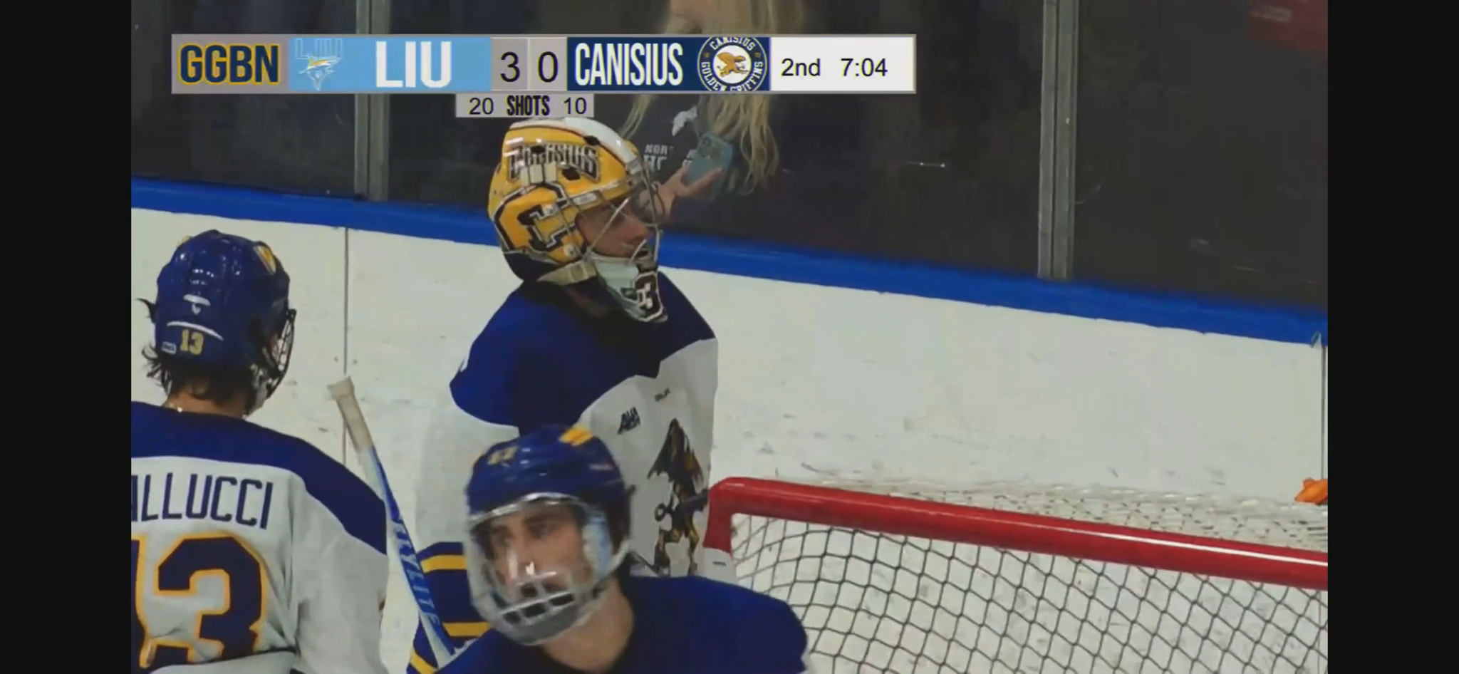 Brett Rylance: Goal Long Island Univ. Hockey