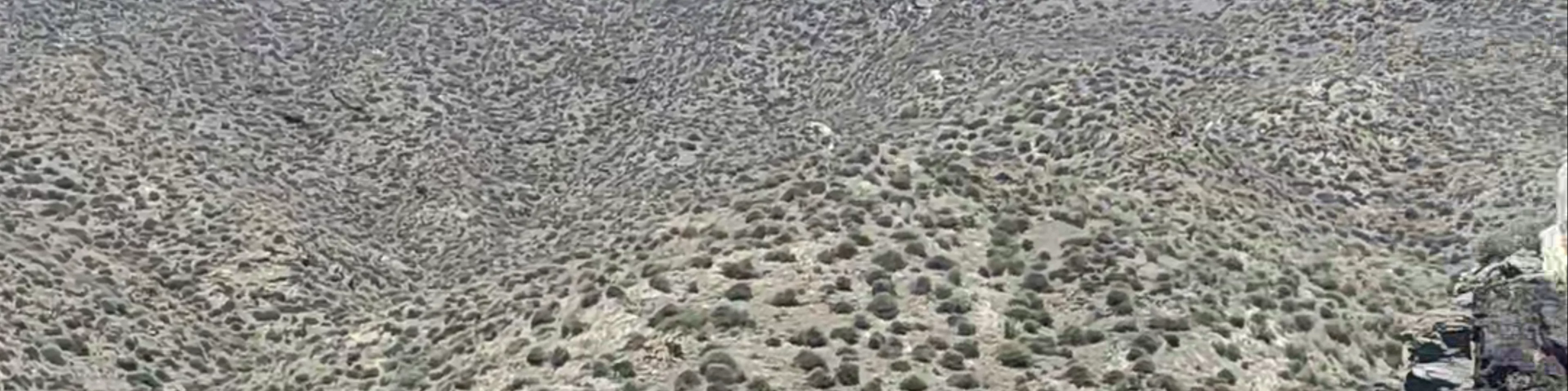Parque Regional de Cabo Cope y Puntas de Calnegre