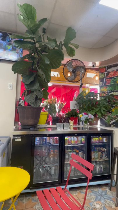 Peace N Plants - Vegetarian Near Me - Queens, New York