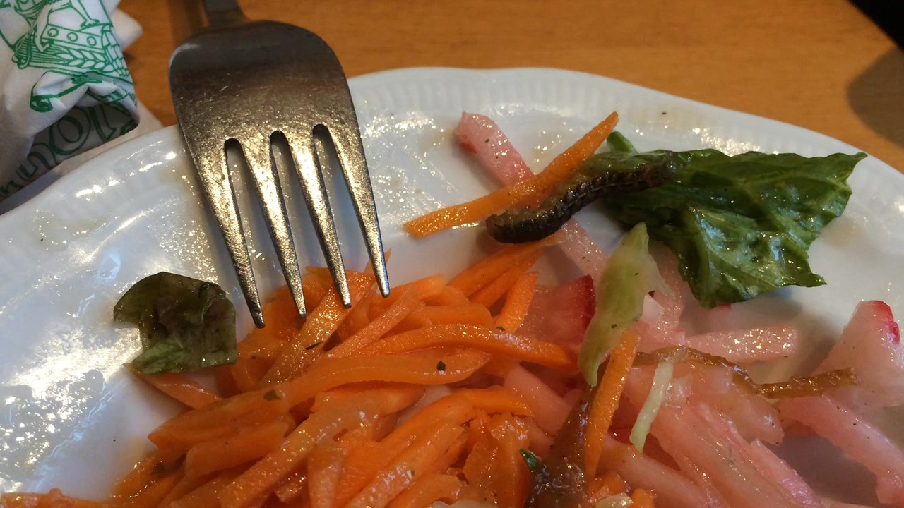 Der Vogelbräu - A little something extra in the salad. - Breweries Near Me - Karlsruhe, BW