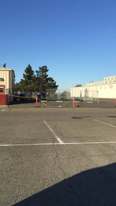 Aardvark's - You hear that dog barking that's Milo - Pet Training Near Me - Vallejo, California