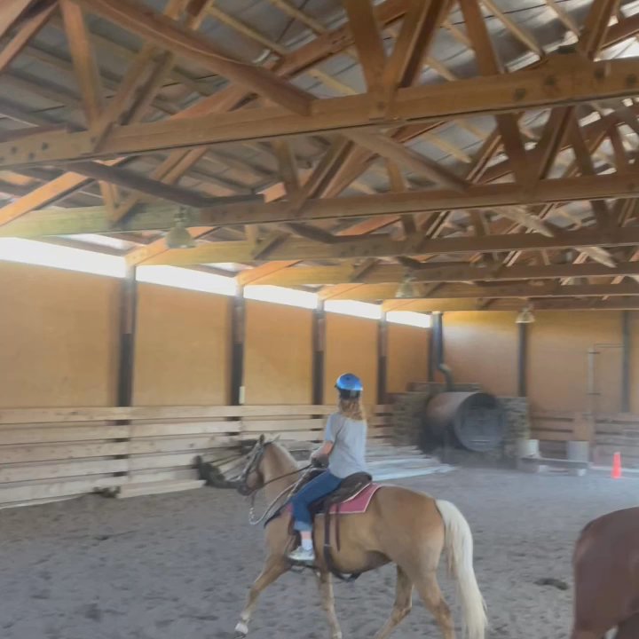 Erik's Ranch - They let us trot a little - Resorts Near Me - Livingston, Montana