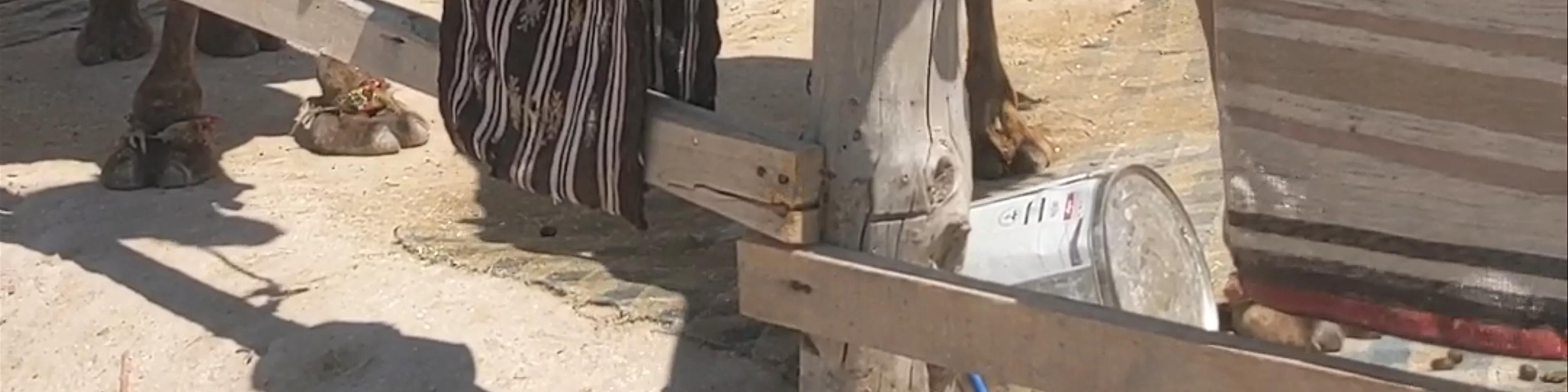 Tekelli