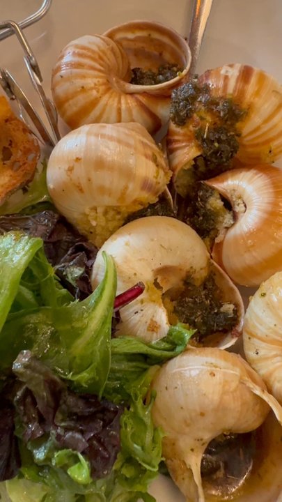 Chez Loma - Highly highly recommend escargot so incredibly delicious - French Near Me - Coronado, California