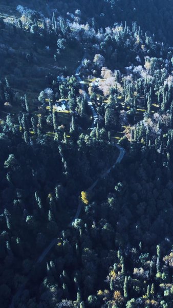 Photo of Yes it is in India