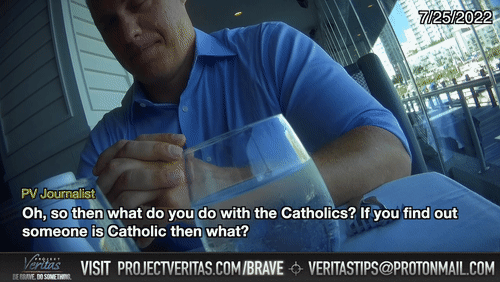 Video Thumbnail Loop