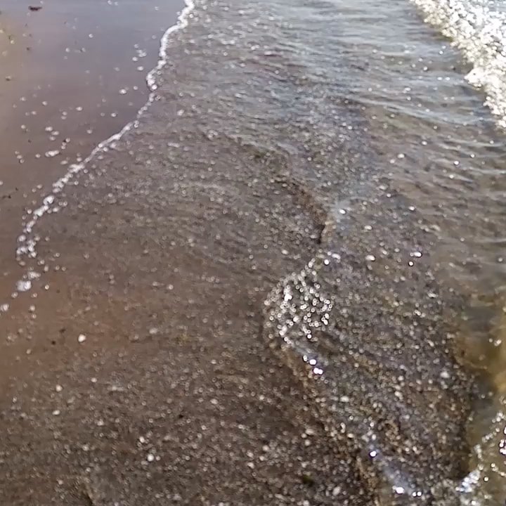 Horizon Hotel - The beach across the road - Hotels Near Me - Ayr, SAY