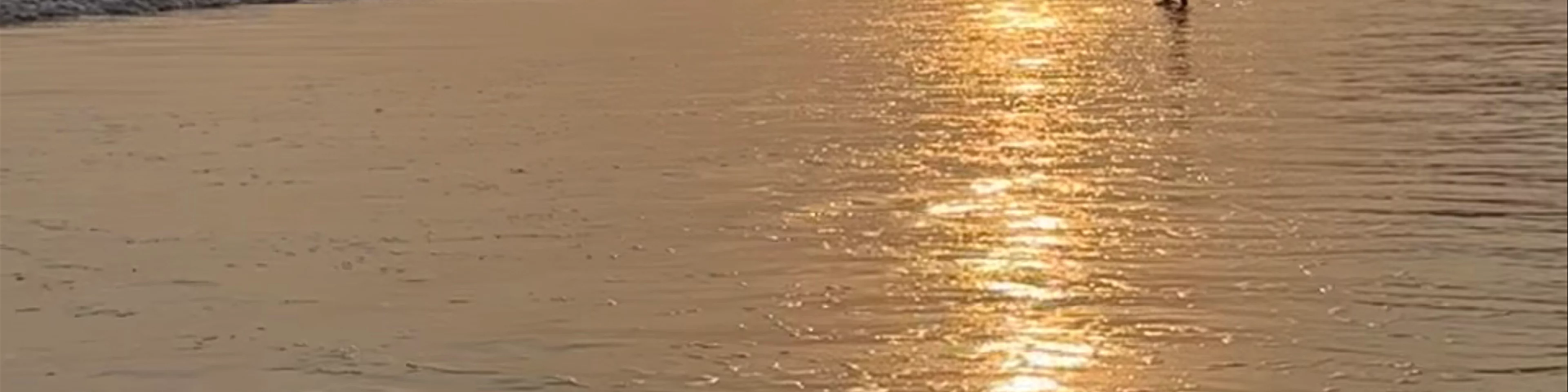 Radhanagar Beach