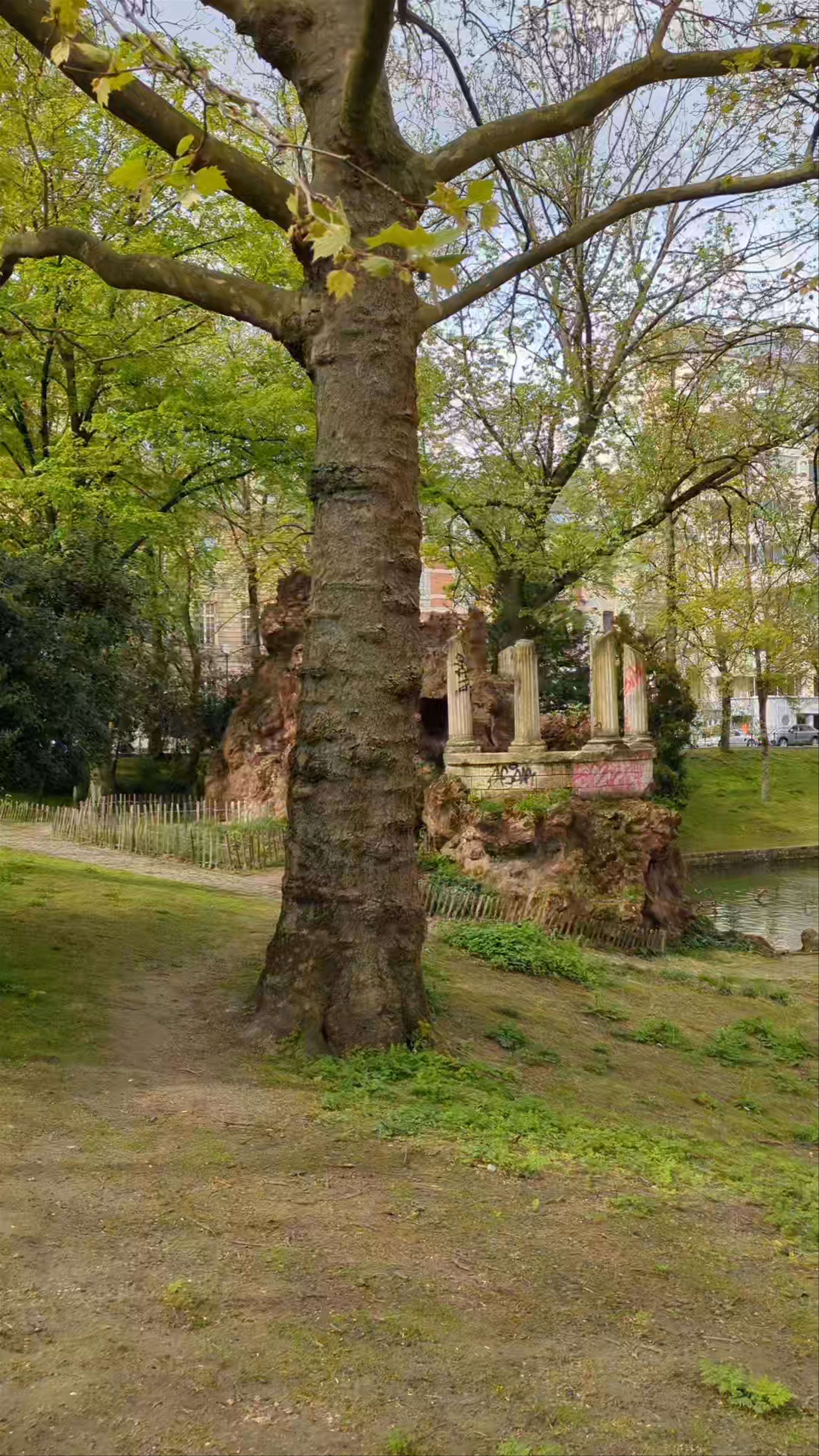 Springtime Serenity at Étangs d'Ixelles in Brussels