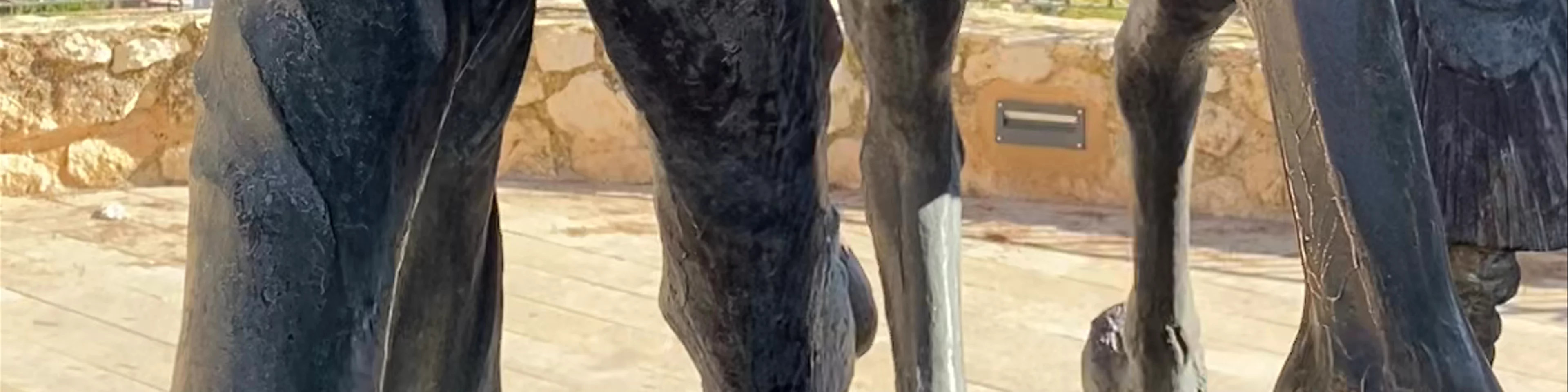 Monumento a los Caballos del Vino