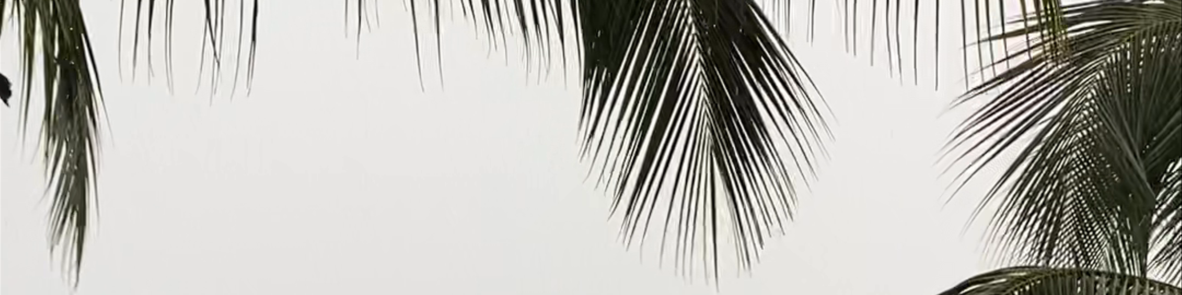 Senegal