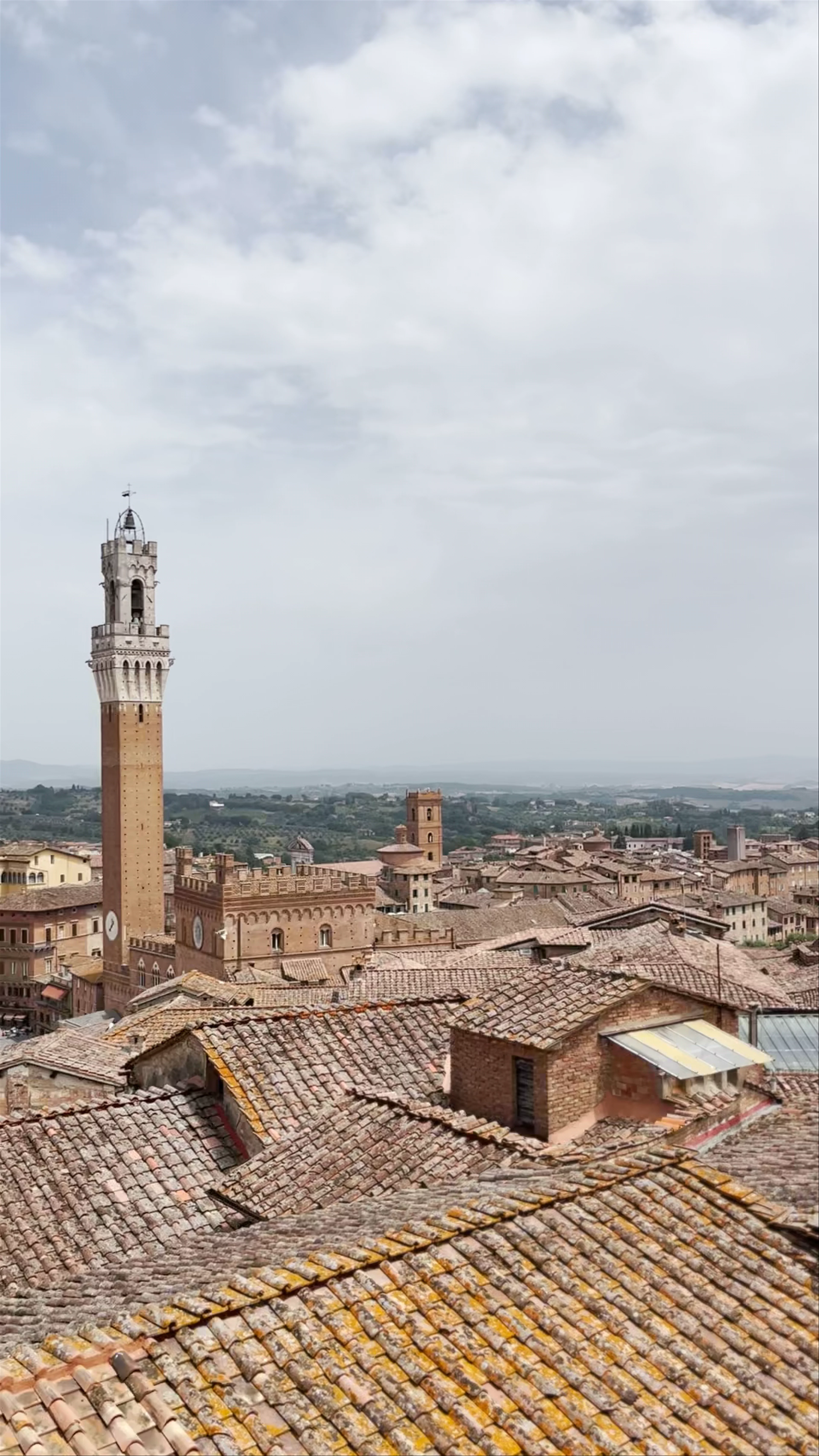 Καθεδρικός Ναός της Σιένα, Piazza del Duomo, Siena, Province of Siena, Italy