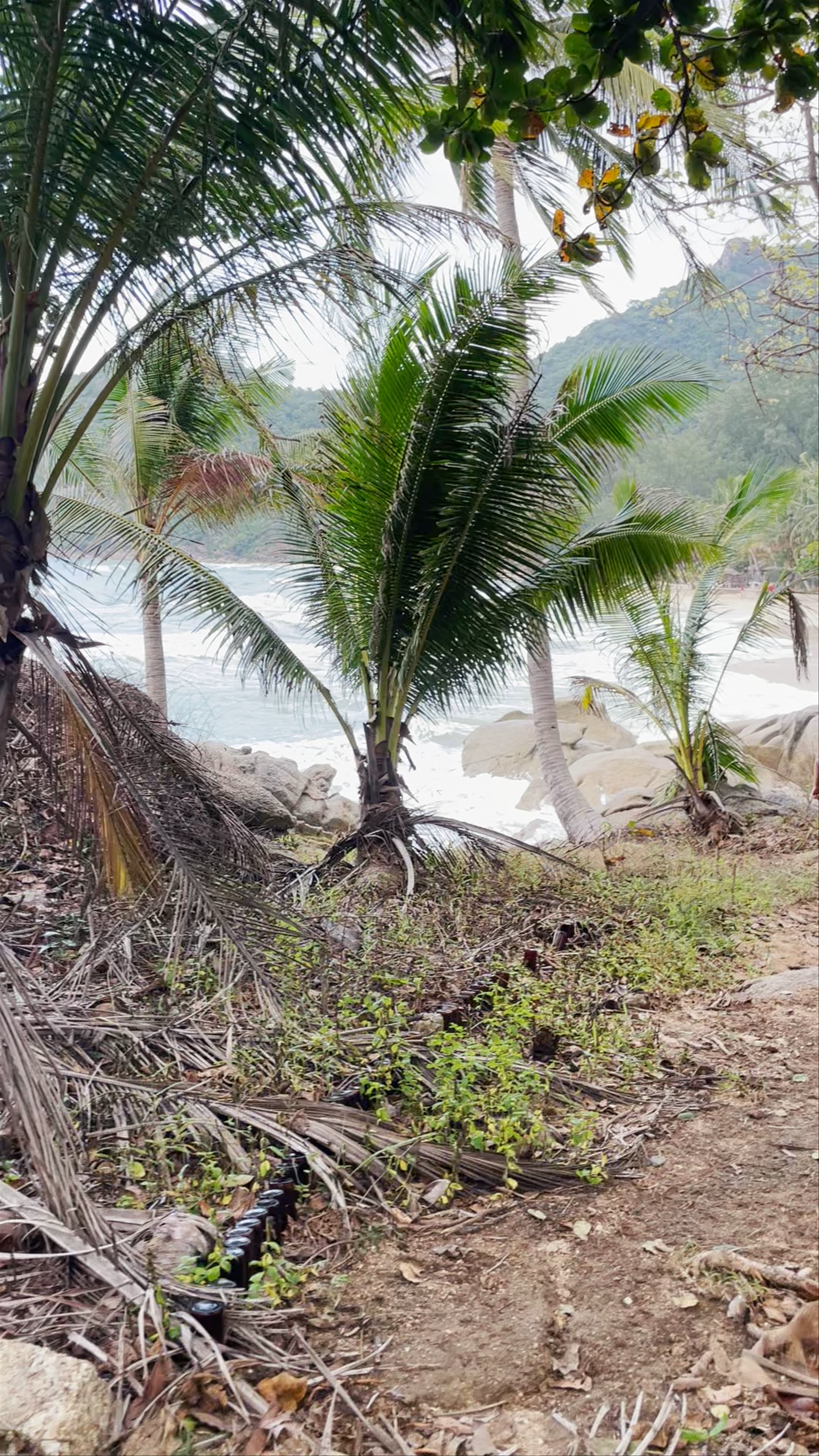 Secluded Tropical Escape at Bottle Beach, Ko Pha-ngan