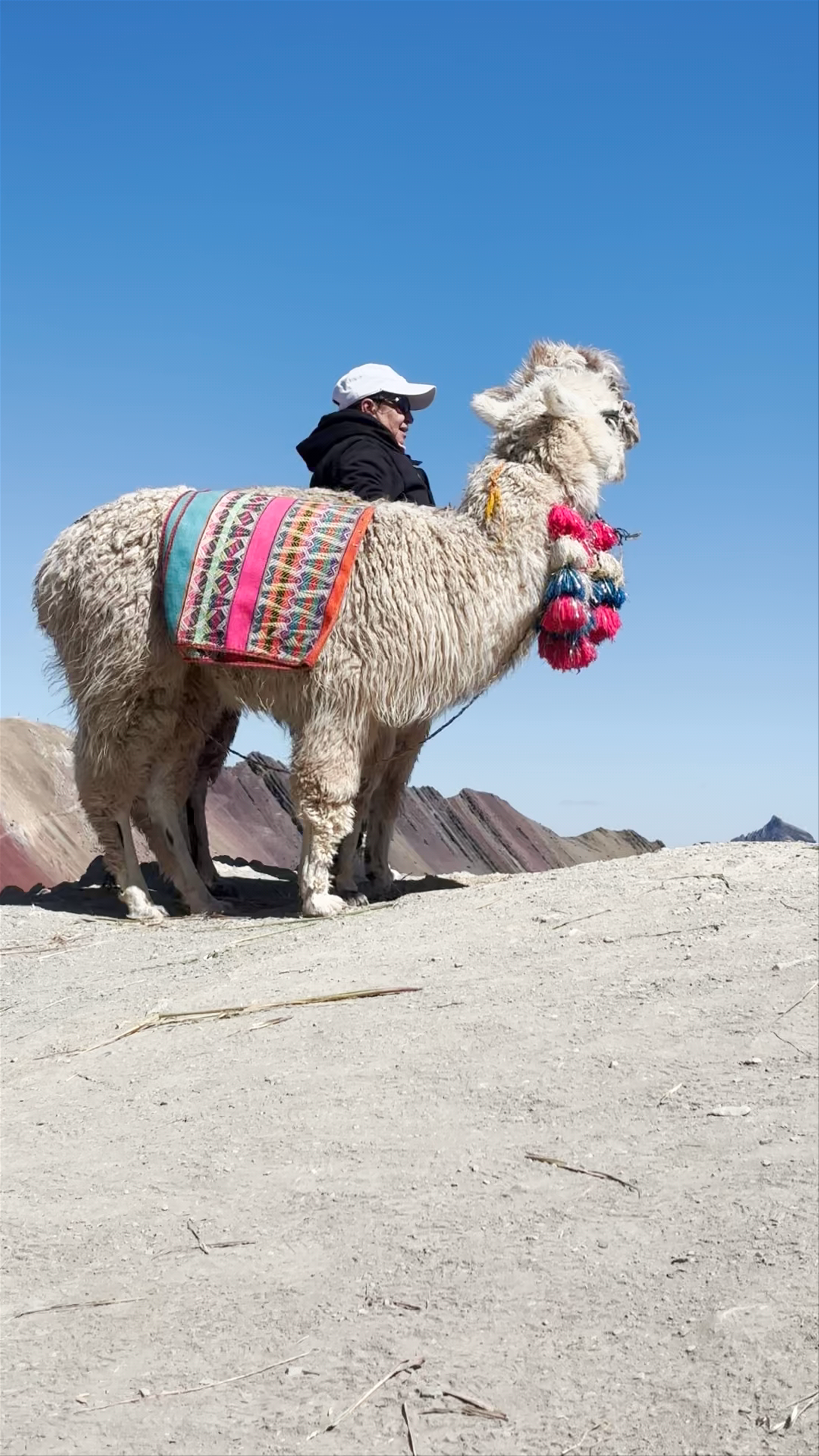 Exploring Rainbow Mountain with Native Llamas in Peru
