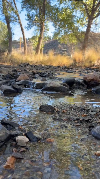 Evans Creek Trailhead - Multiple streams throughout the hike. Sat there and wnjoyed nature's music - Hiking Near Me - Reno, Nevada