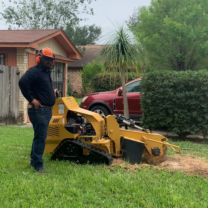 Juan Palmas Tree Service - Stump grinding service - Tree Services Near Me