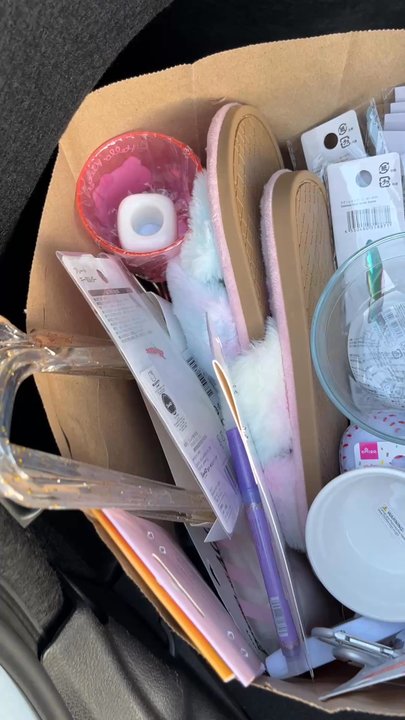 Daiso - i think i went overboard - Discount Store Near Me - Sacramento, California